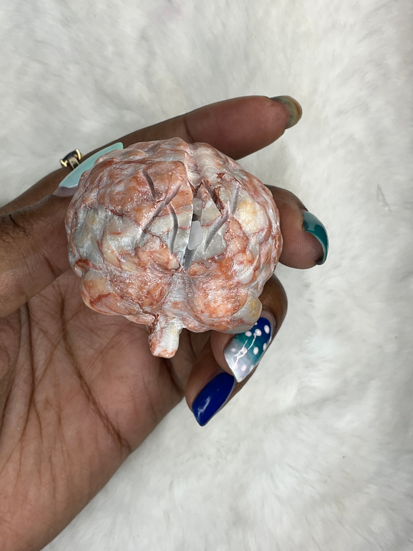 Brain