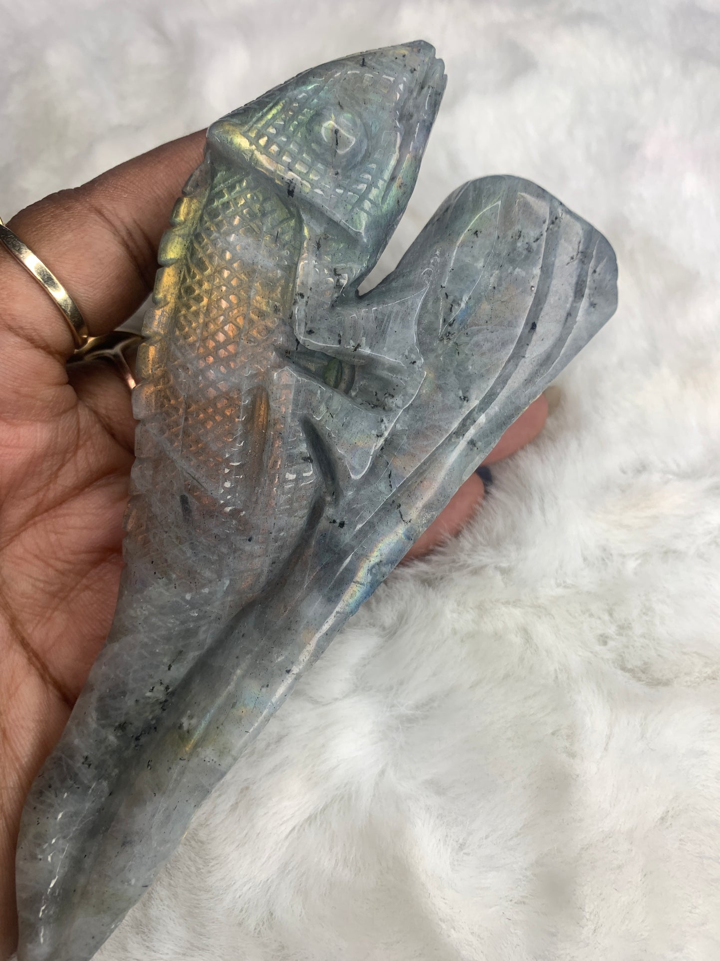 Chameleon