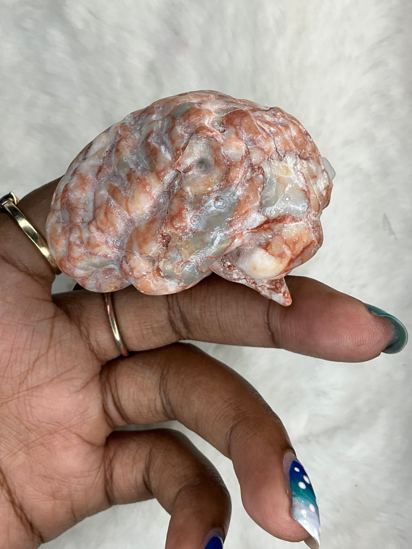 Brain