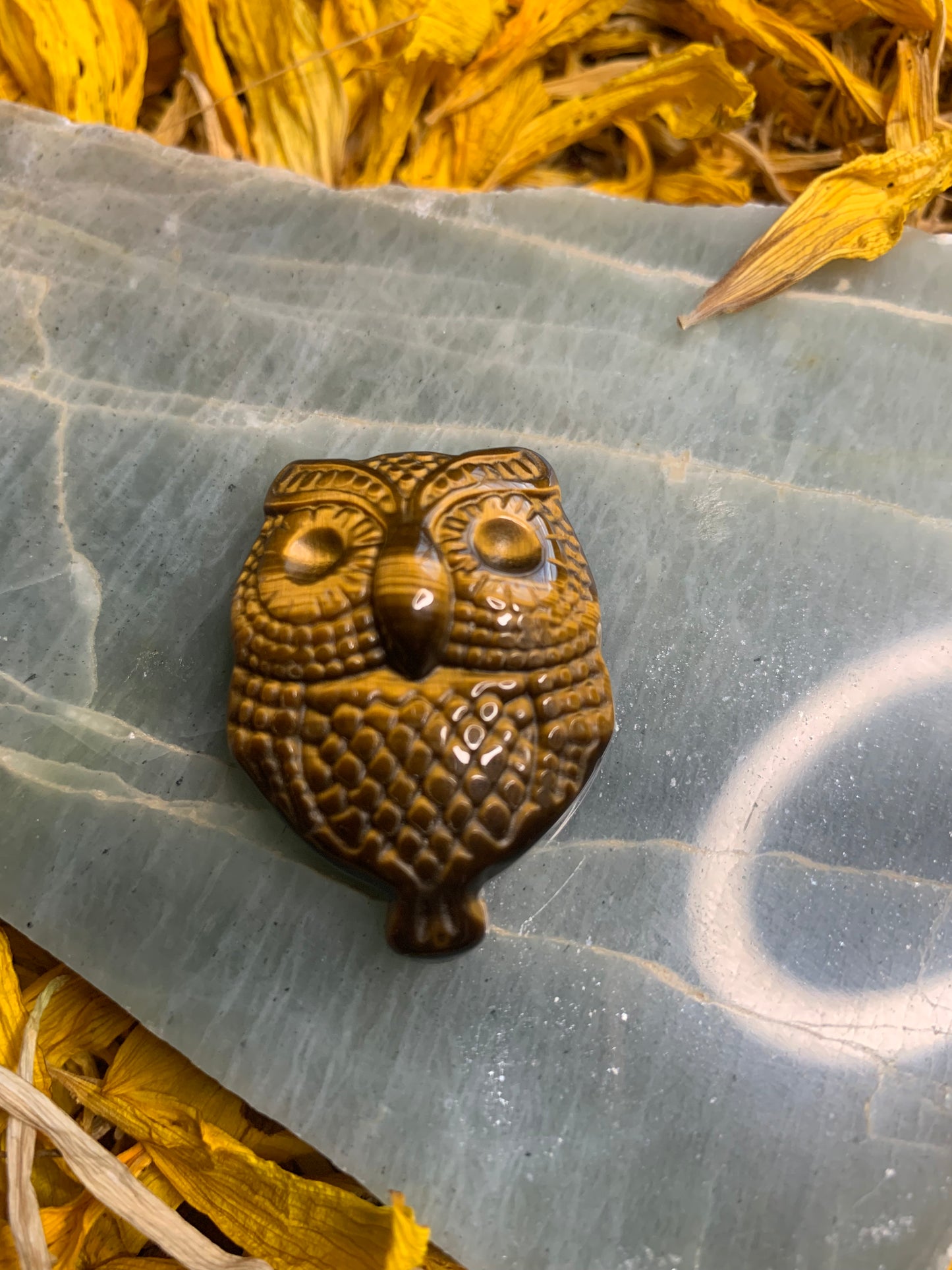 Tiger’s Eye Owl