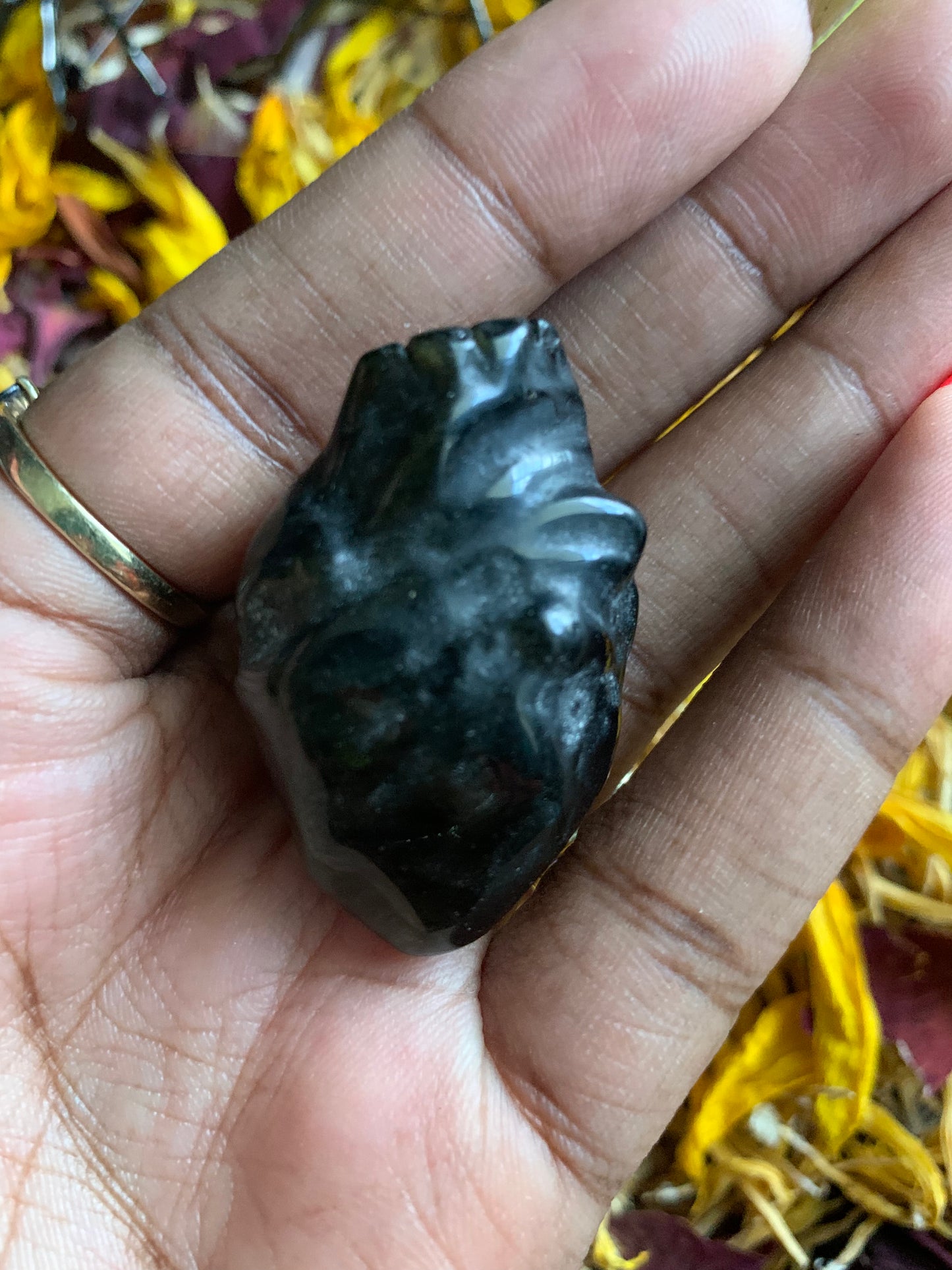 Anatomical Heart