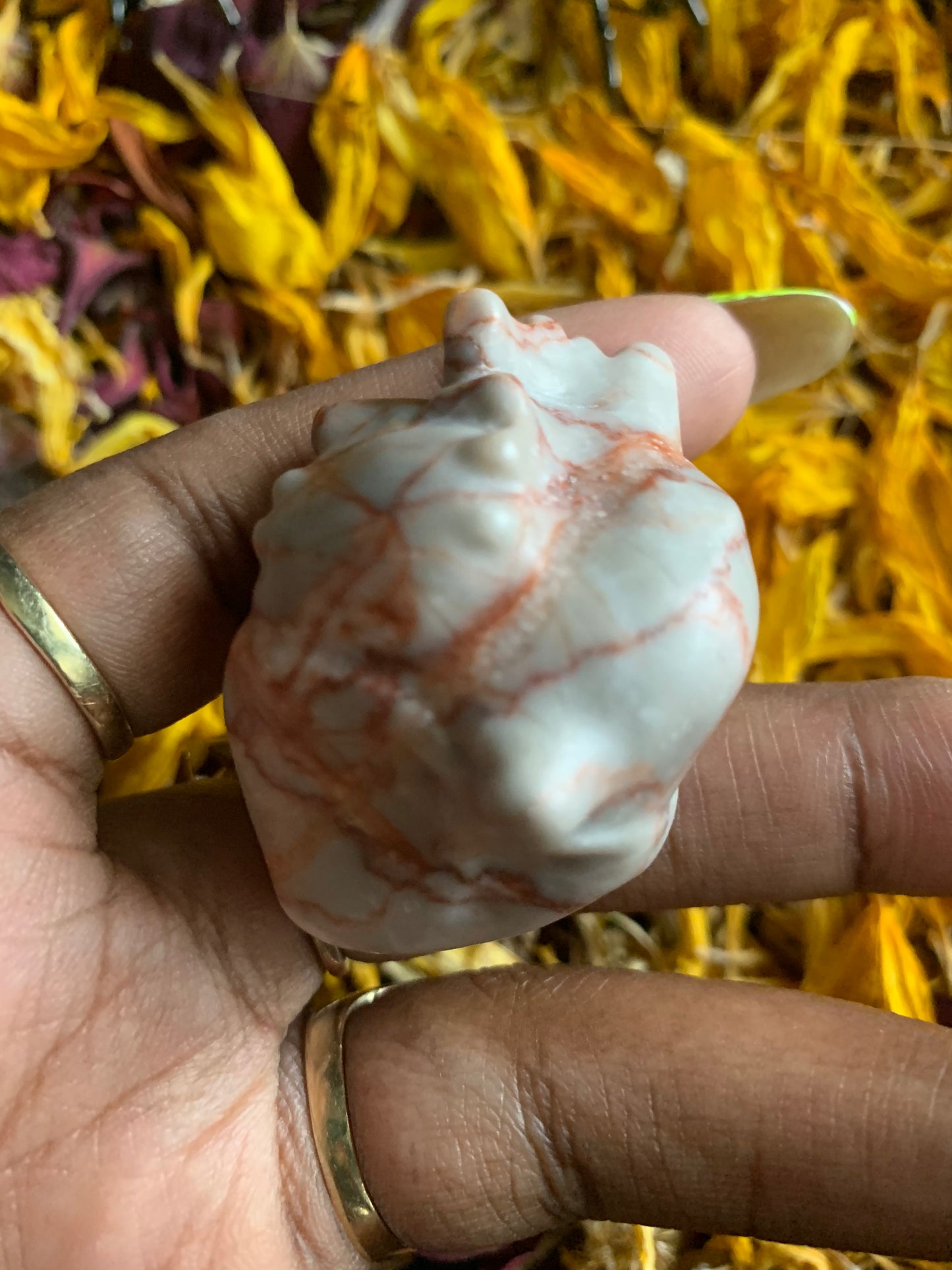 Anatomical Heart