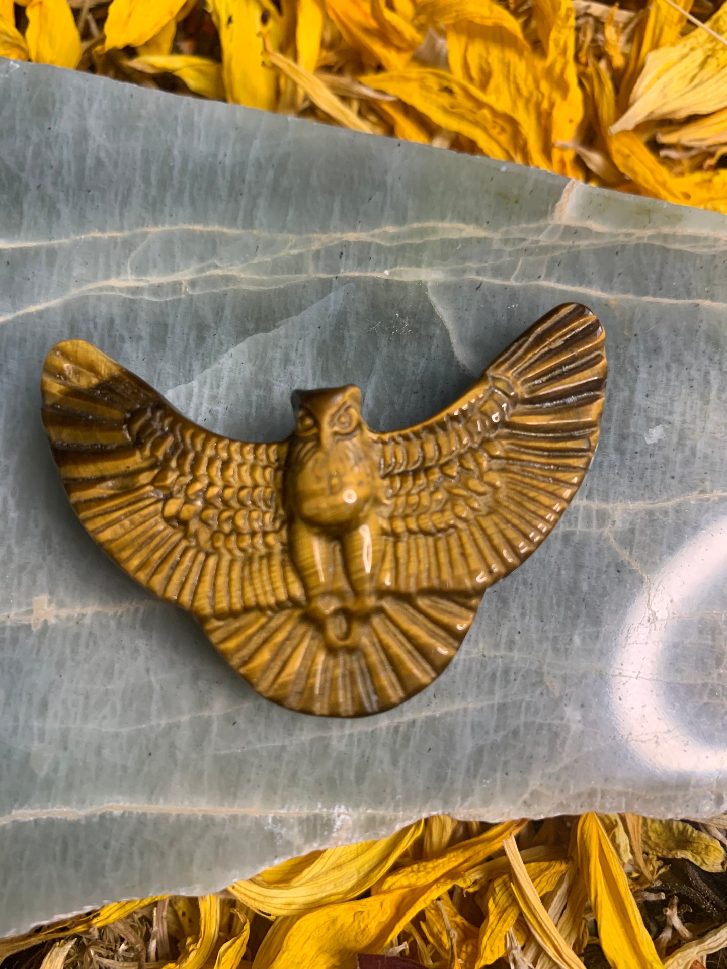 Tiger’s Eye Owl