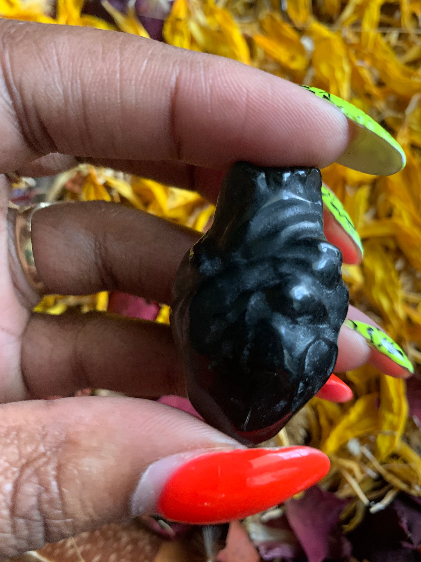 Anatomical Heart
