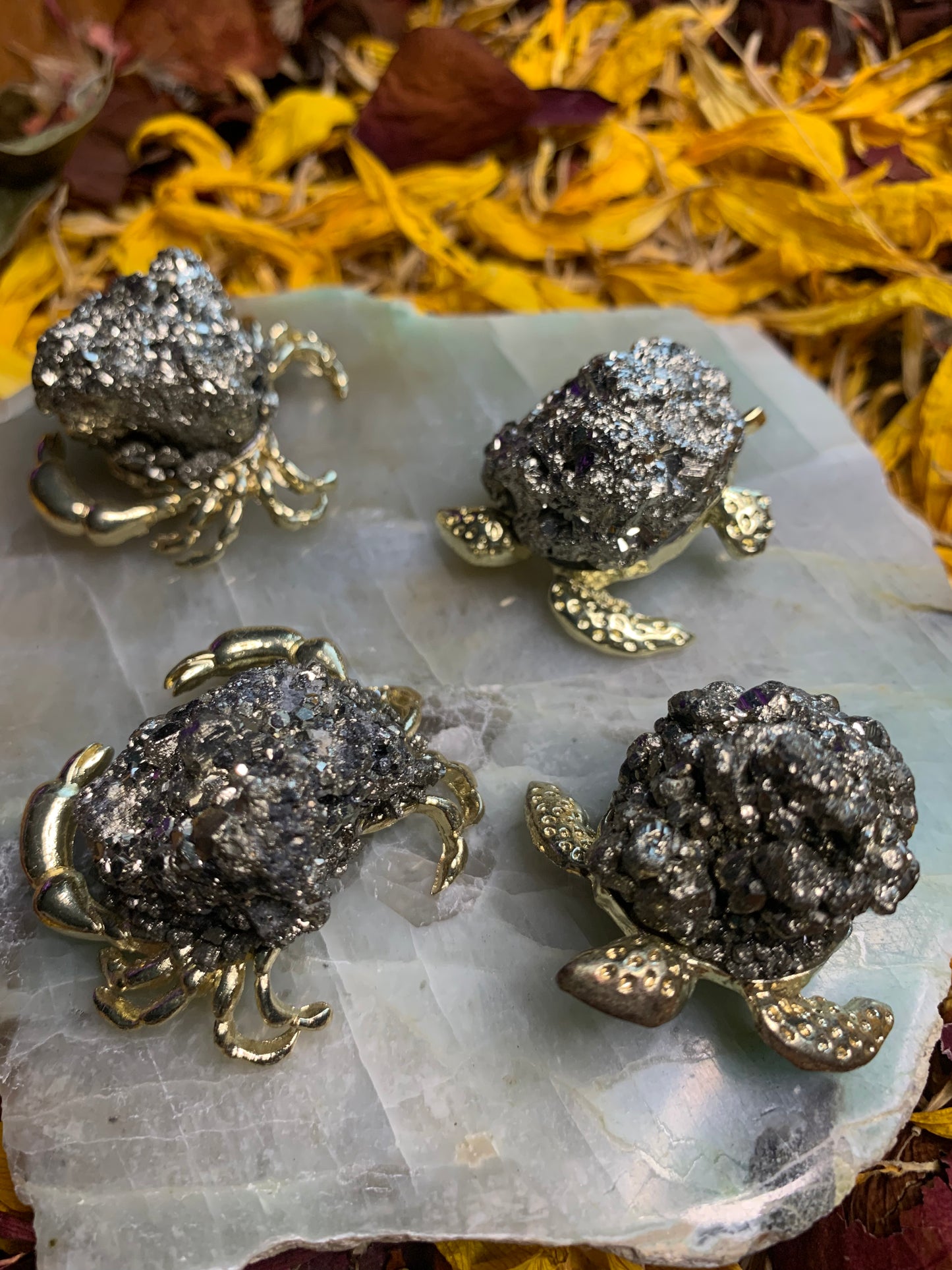 Pyrite Animals