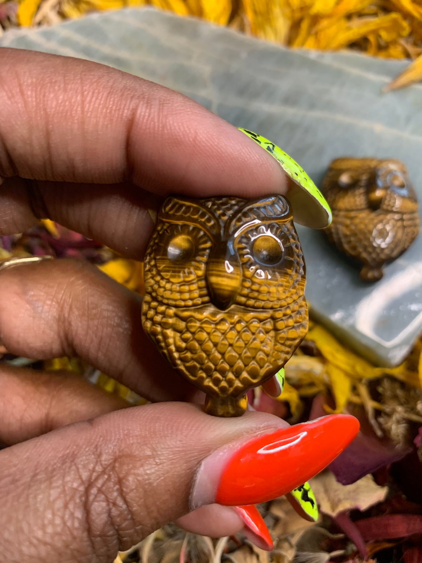 Tiger’s Eye Owl