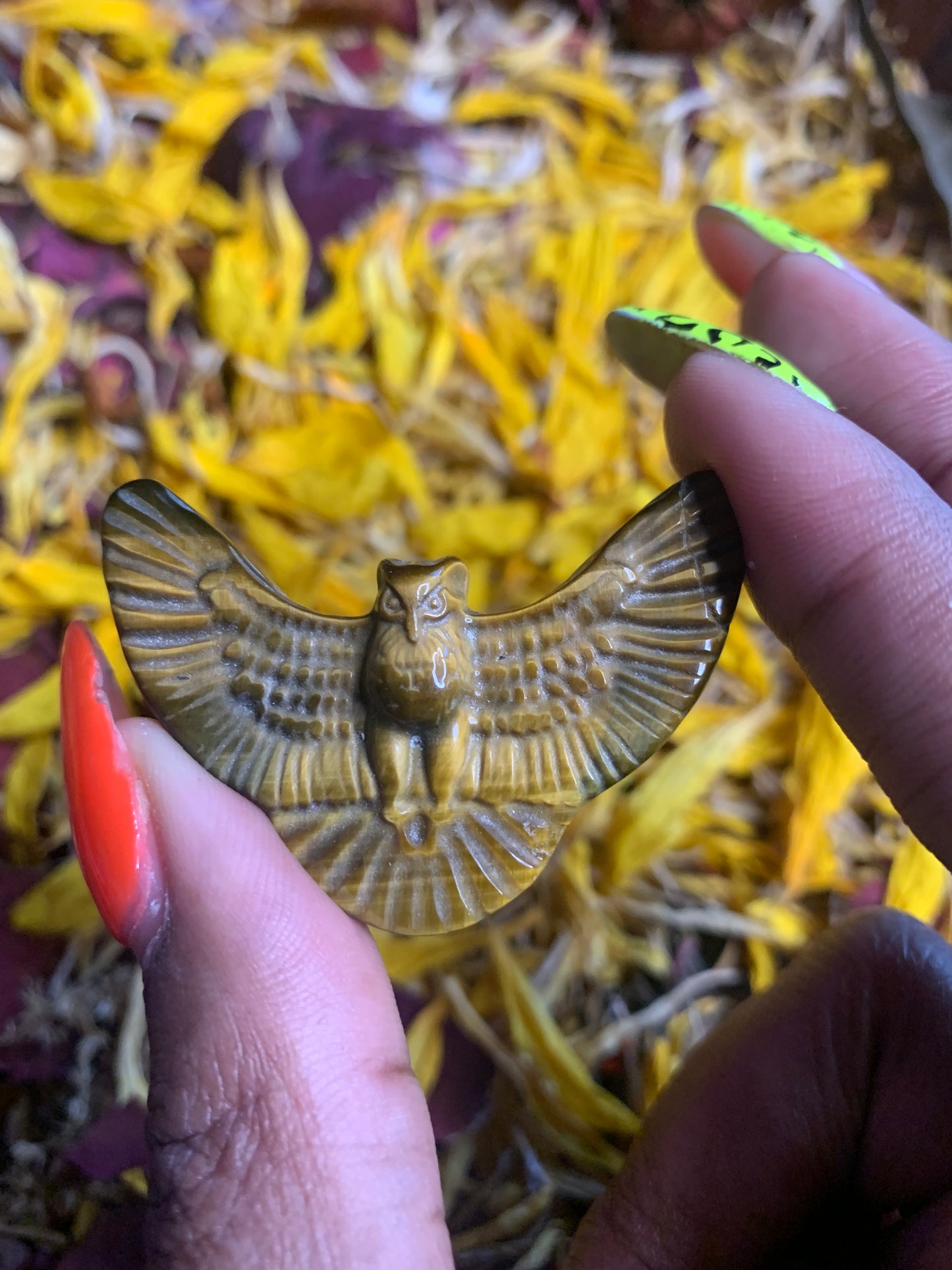 Tiger’s Eye Owl