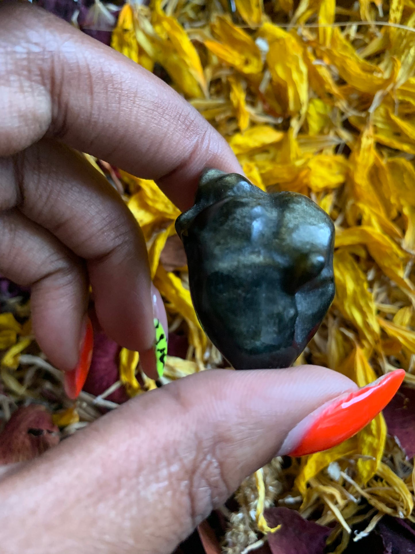 Anatomical Heart