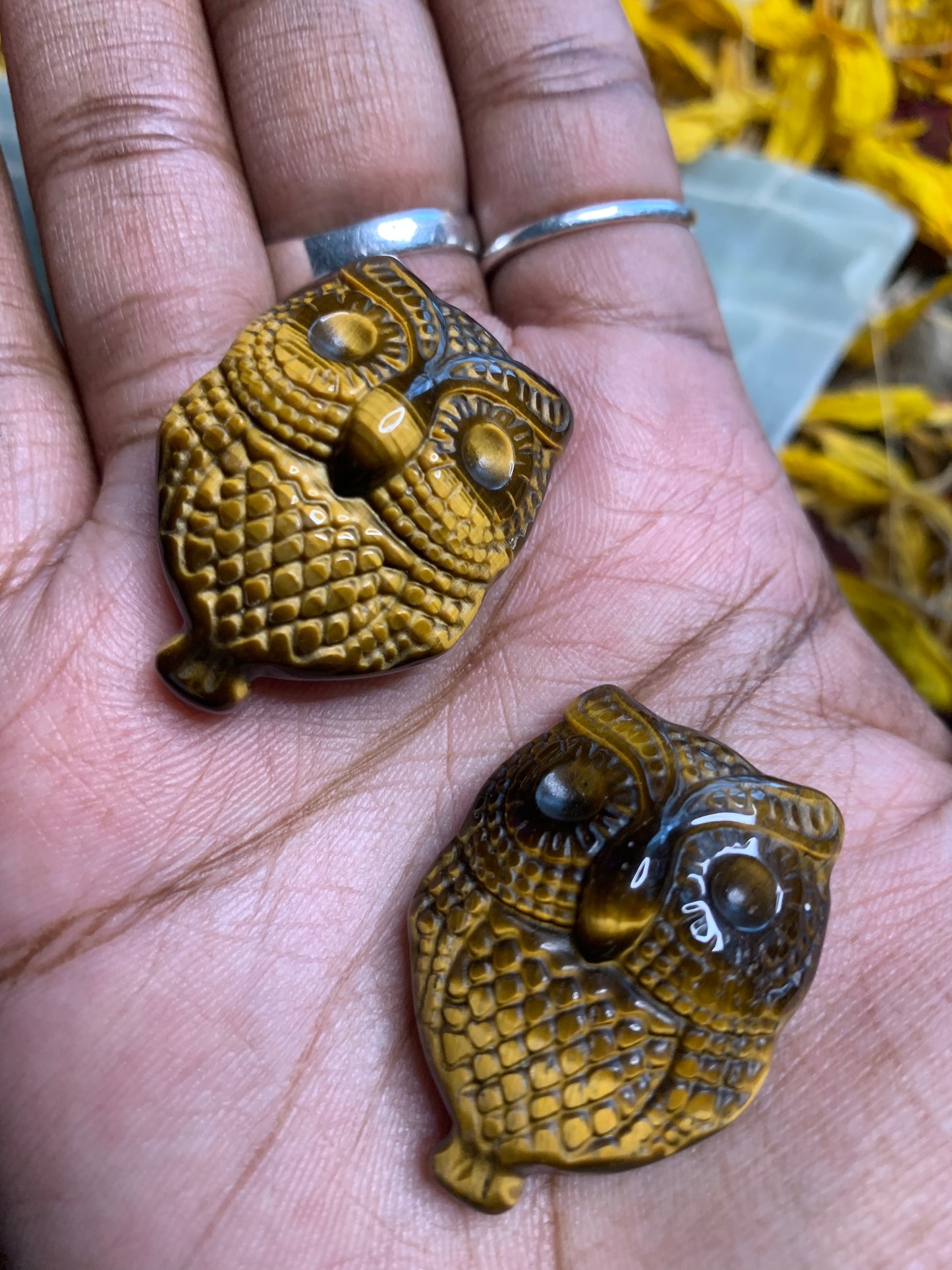 Tiger’s Eye Owl