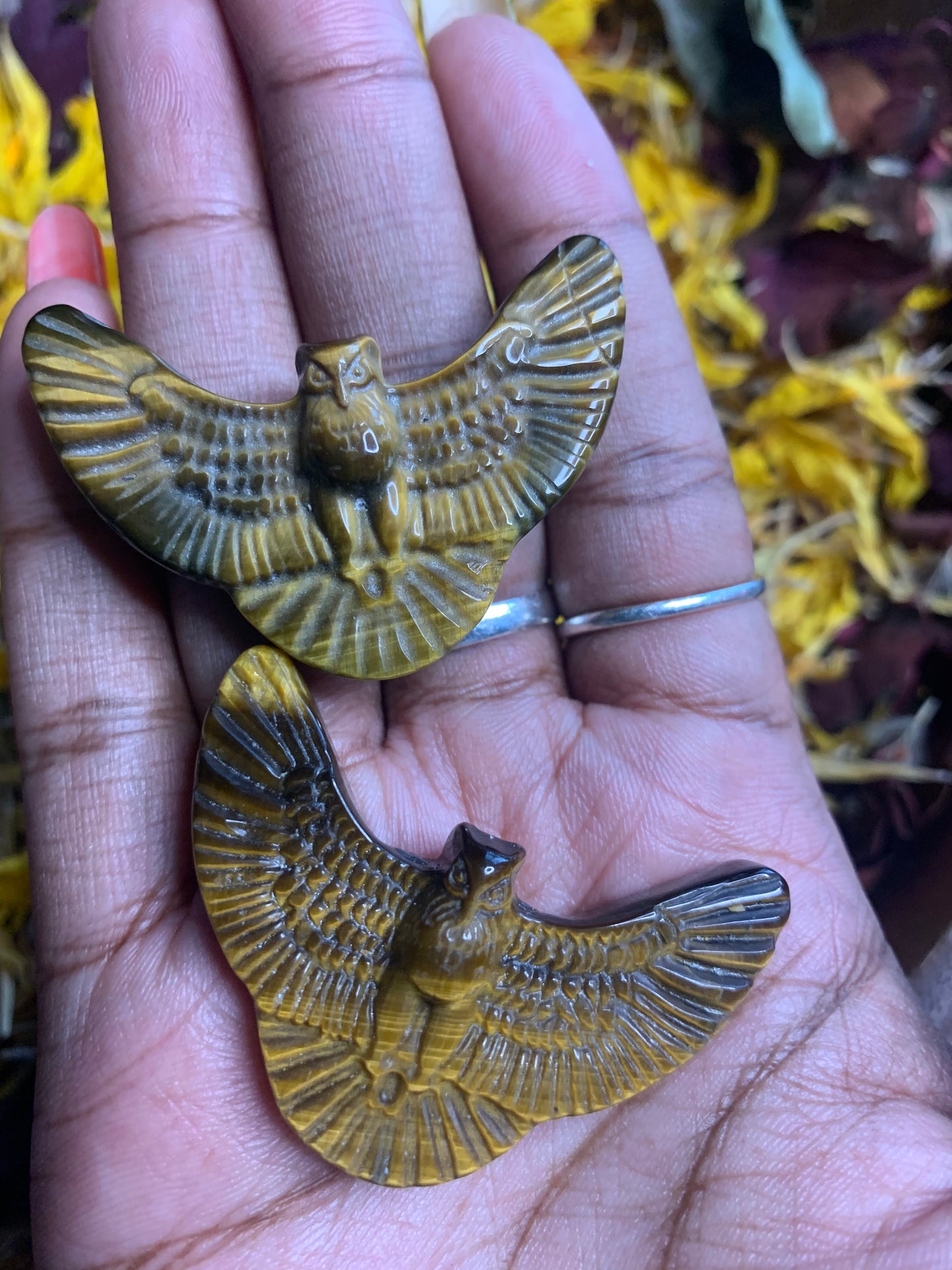 Tiger’s Eye Owl