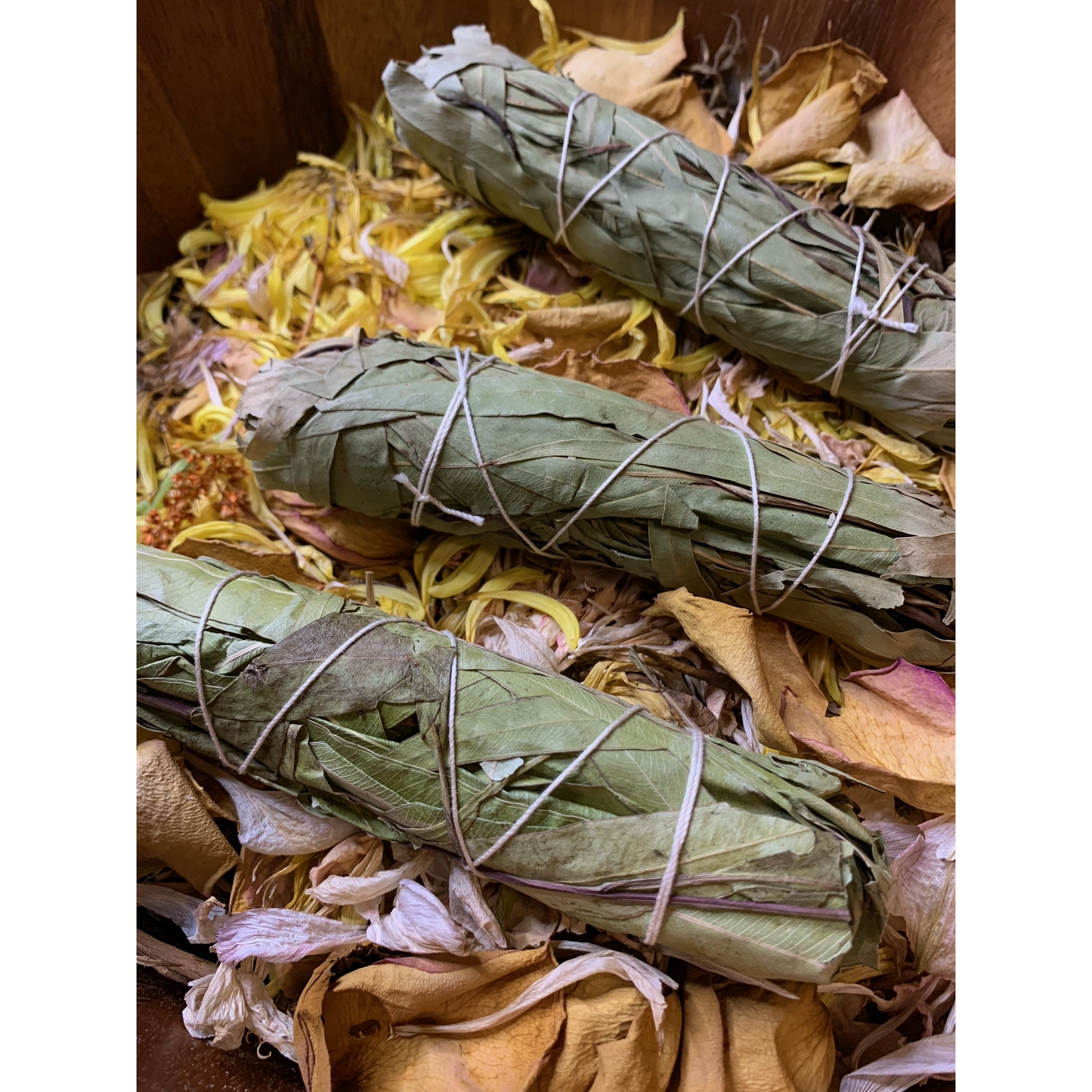 Eucalyptus Smudge Wand - Astrolyszics