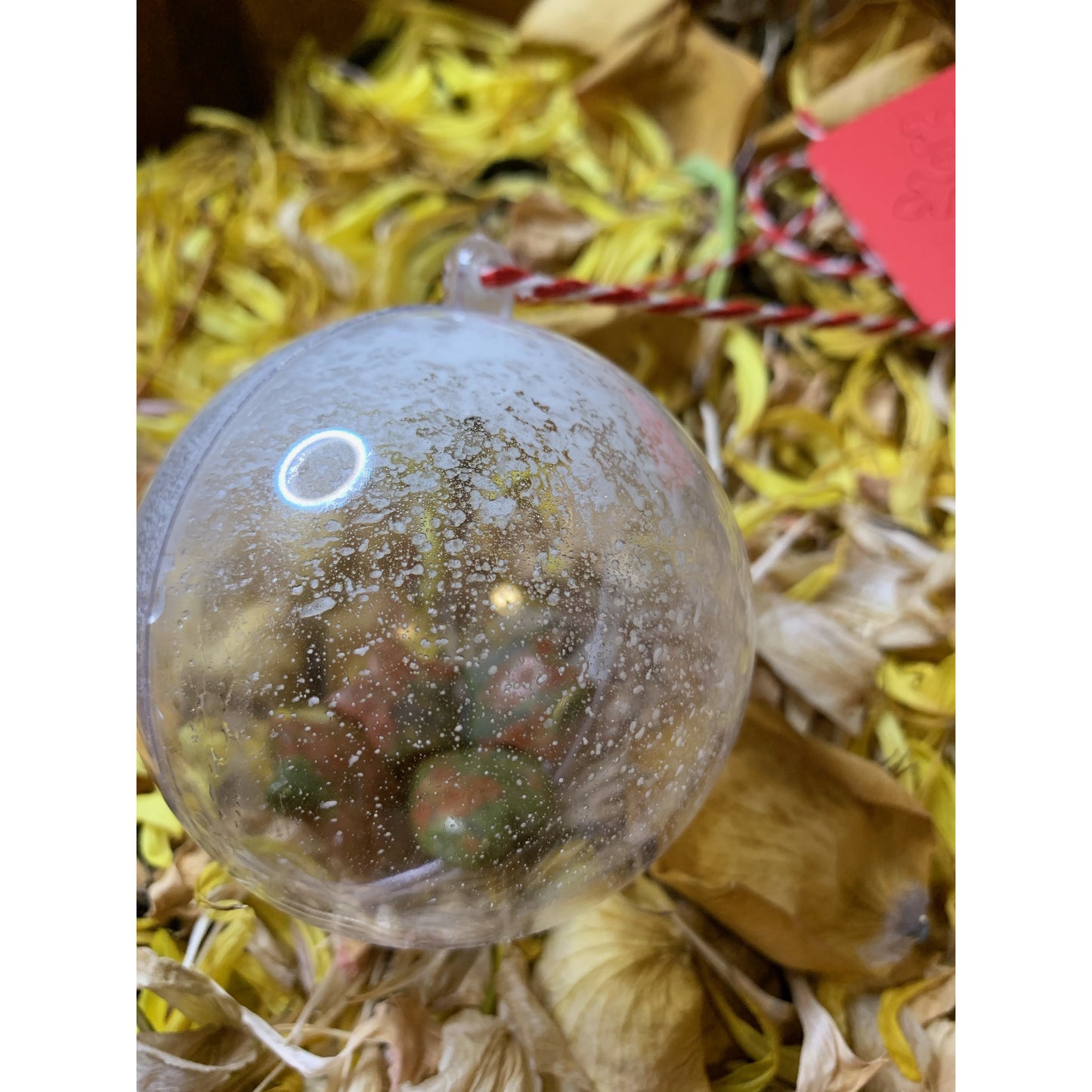 Crystal Ornament - Astrolyszics