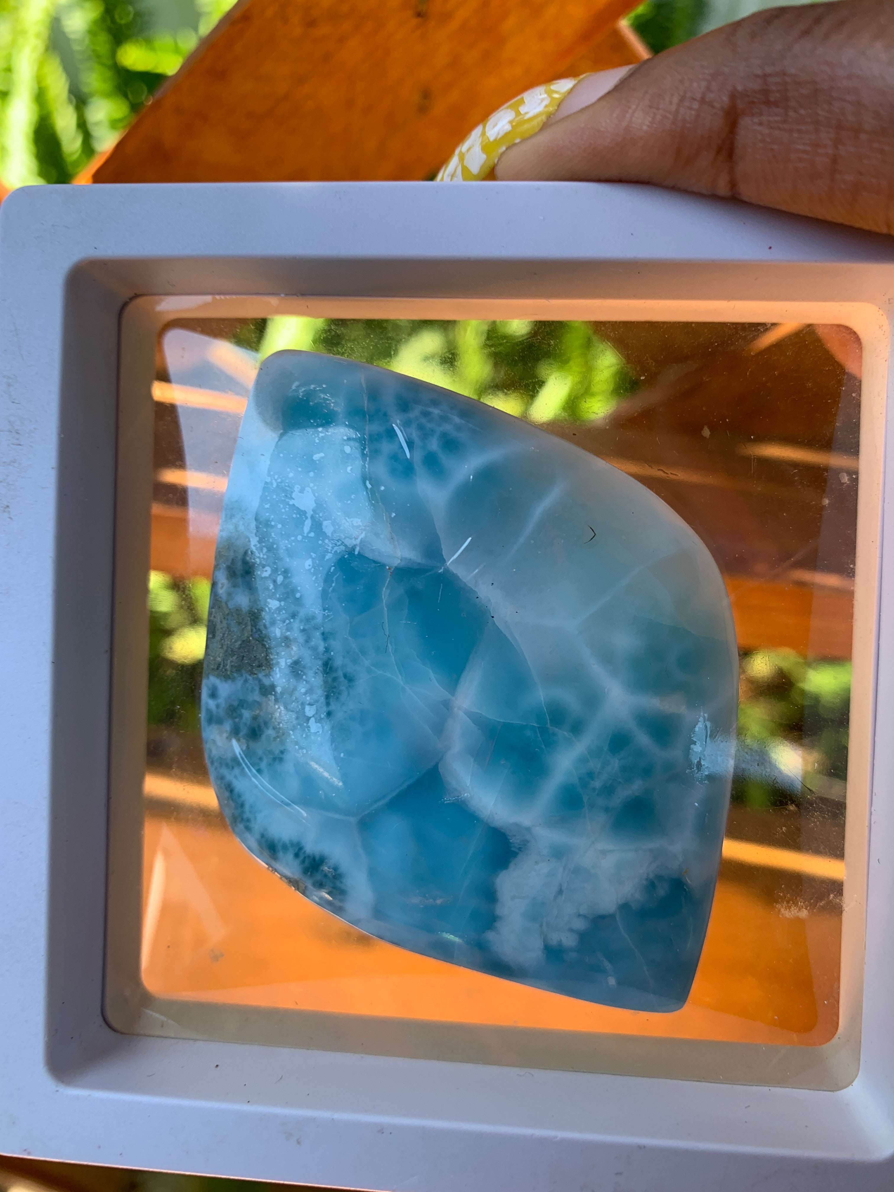 Larimar Collectible