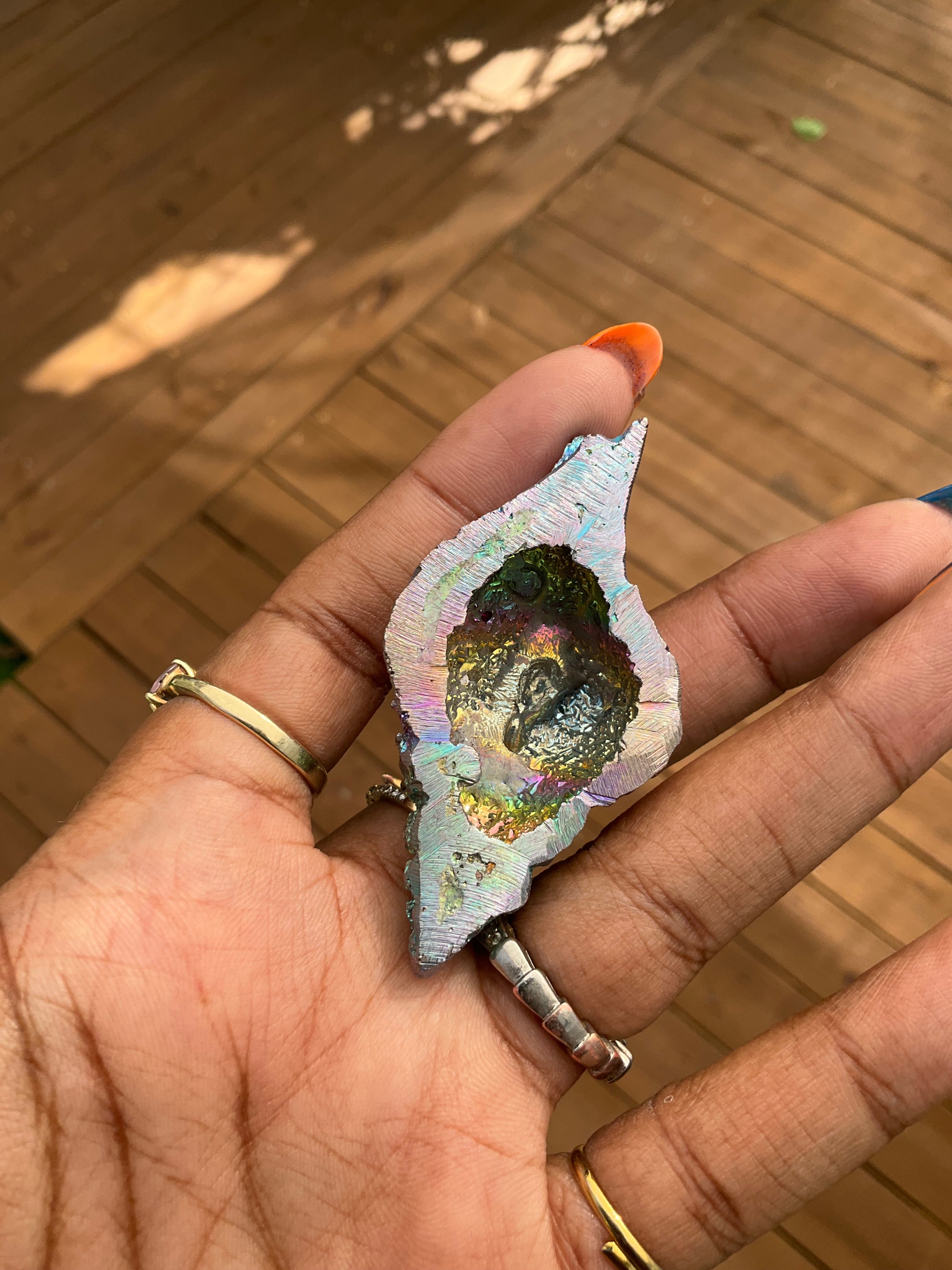 Bismuth shell or turtle