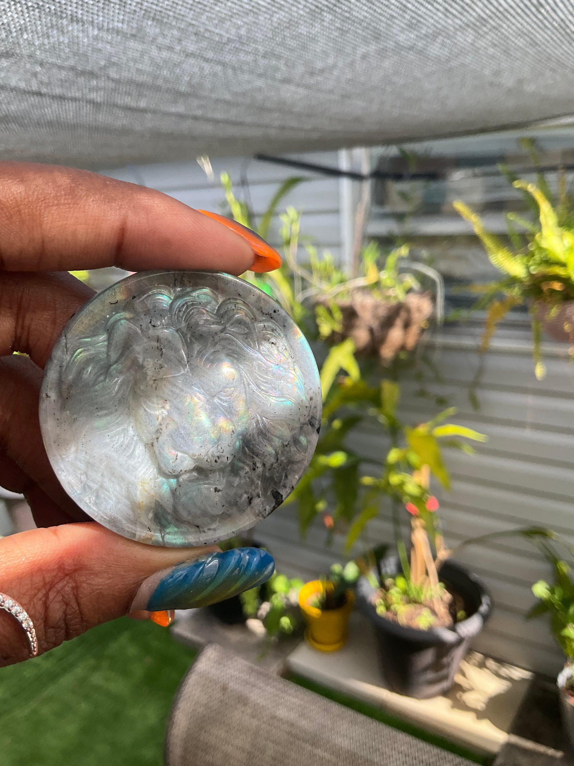 Labradorite Lion Medallion