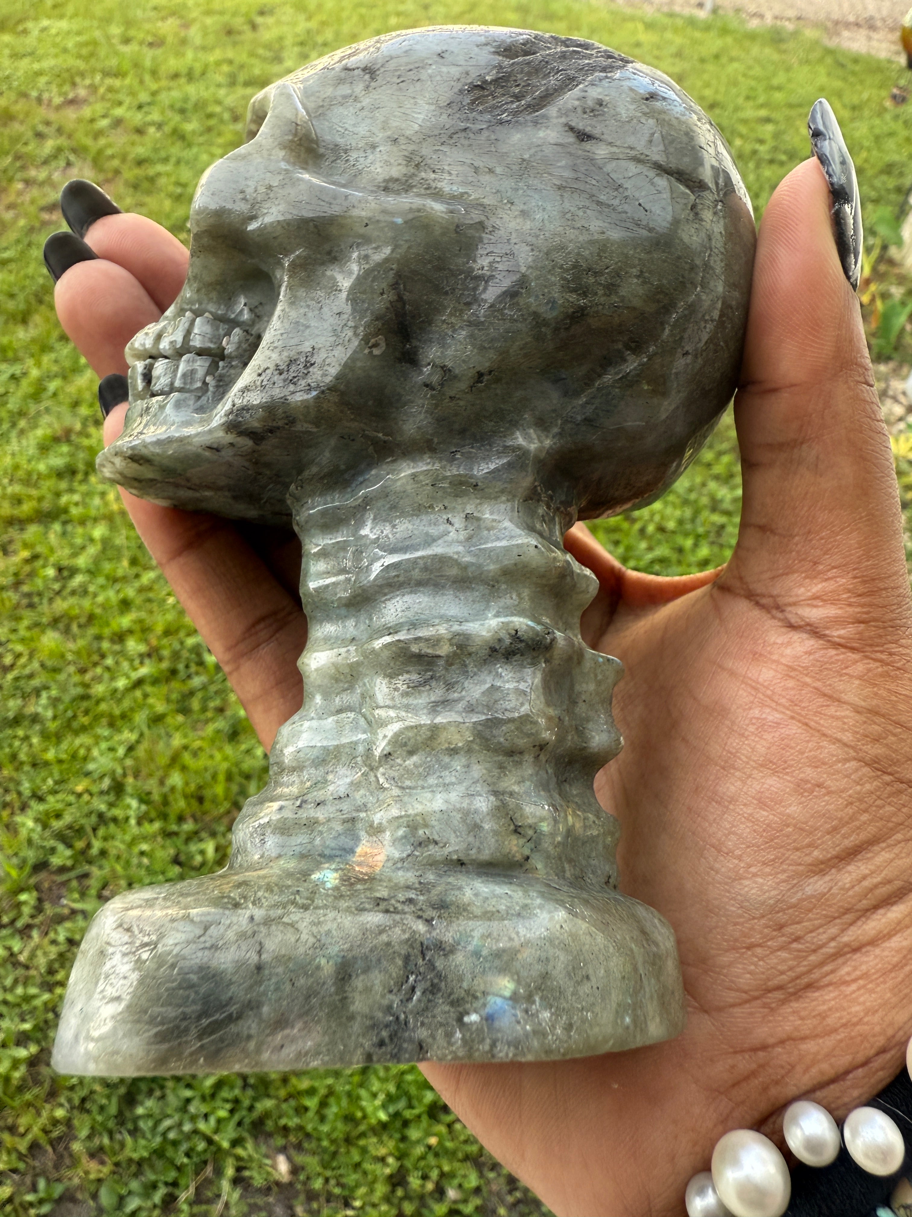 Labradorite Skull & Spine - Consciousness Expansion Sculpture