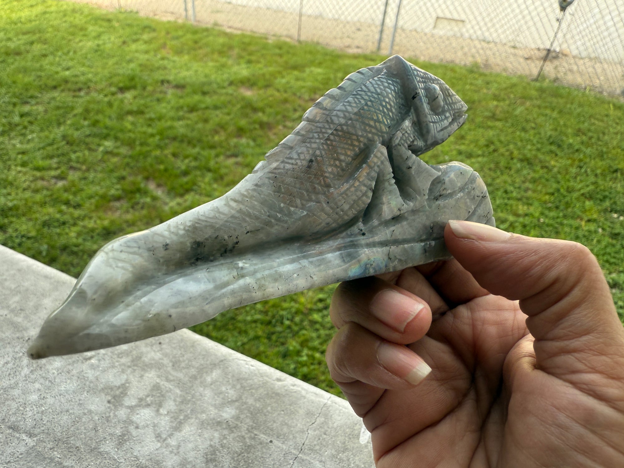 Chameleon