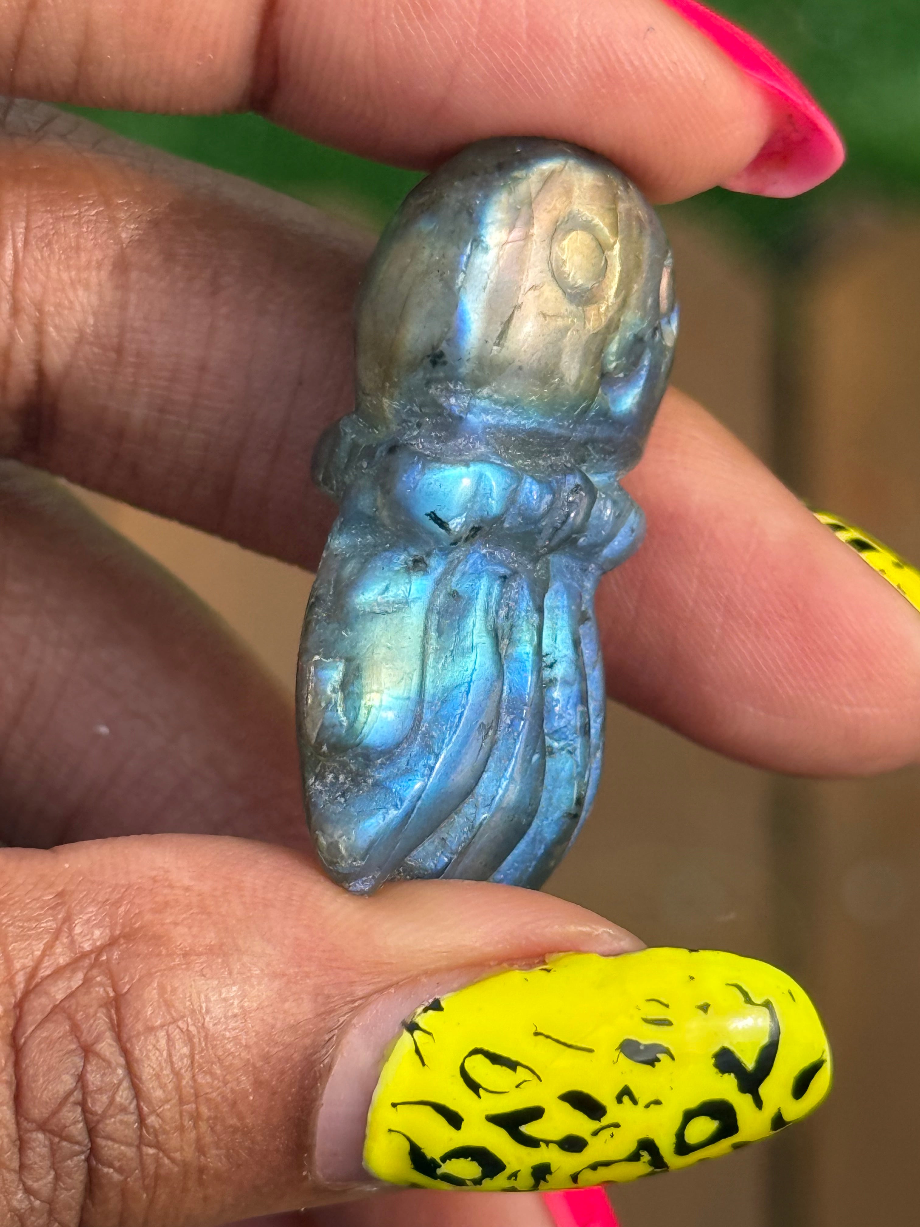 Labradorite Jellyfish
