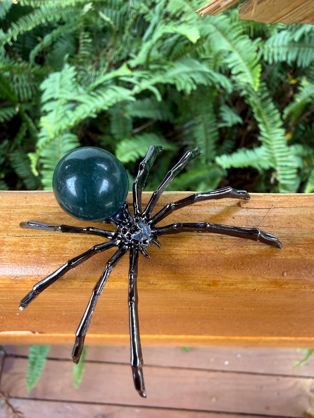 Spider