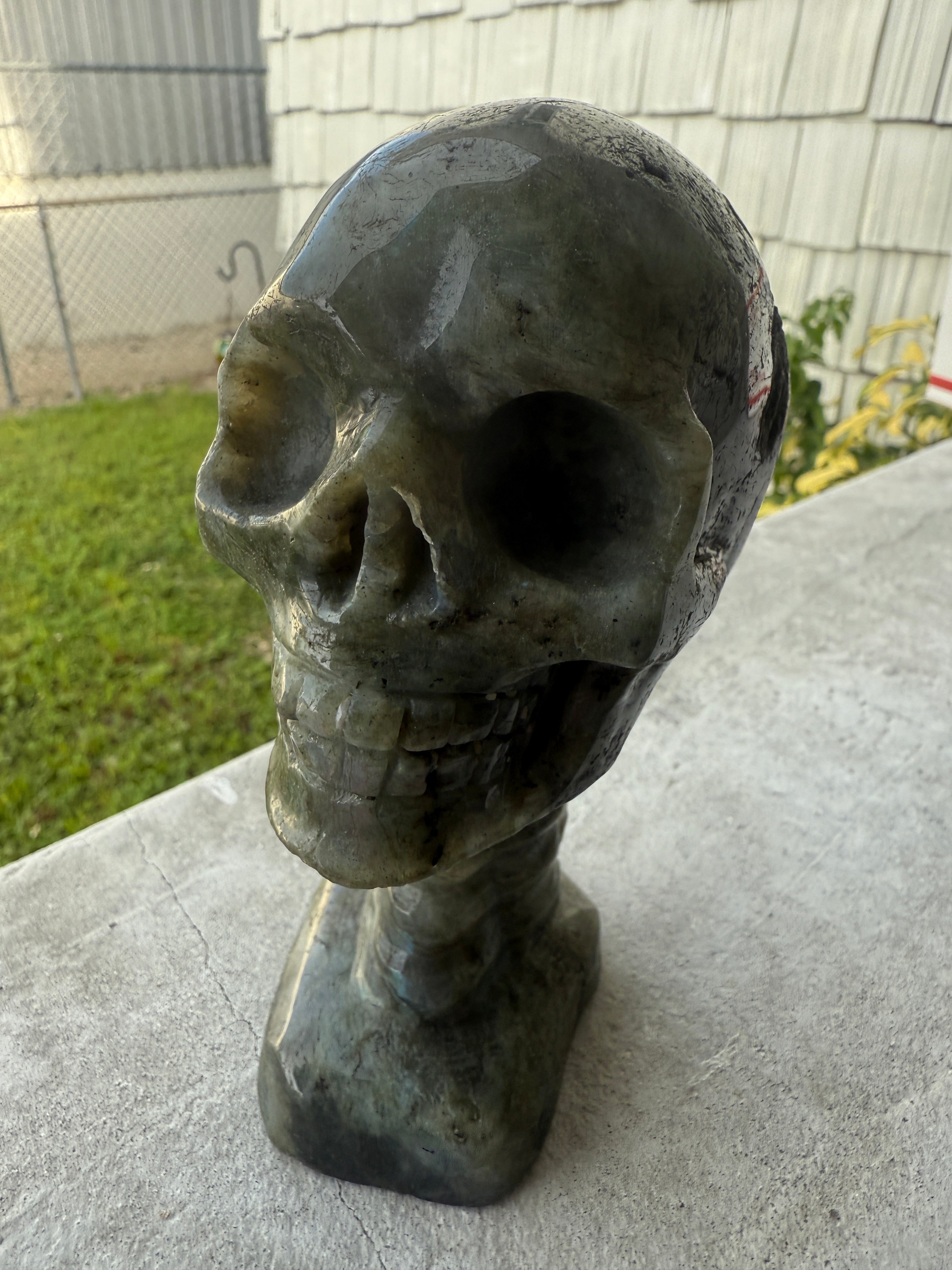 Labradorite Skull & Spine - Consciousness Expansion Sculpture
