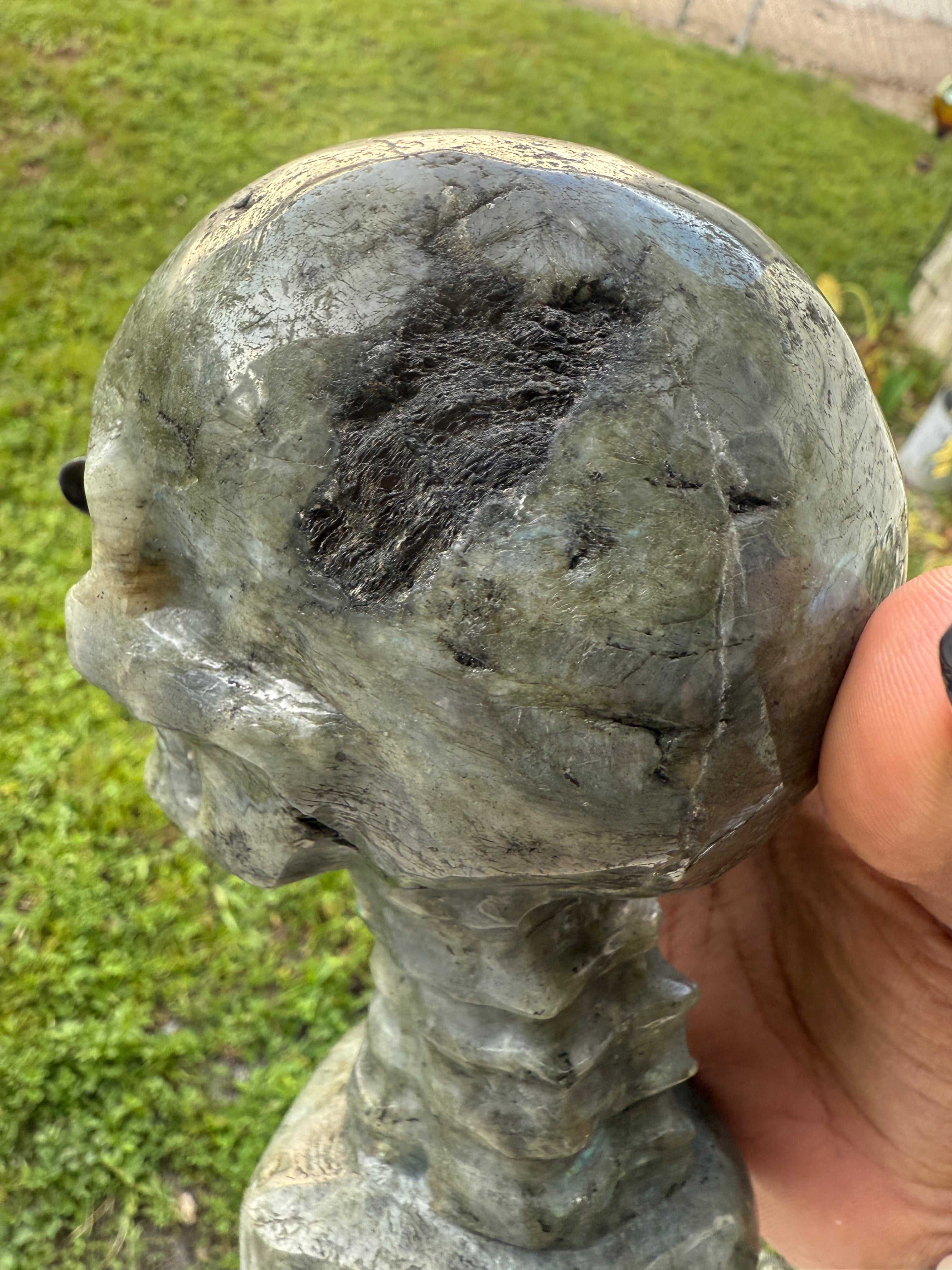 Labradorite Skull & Spine - Consciousness Expansion Sculpture