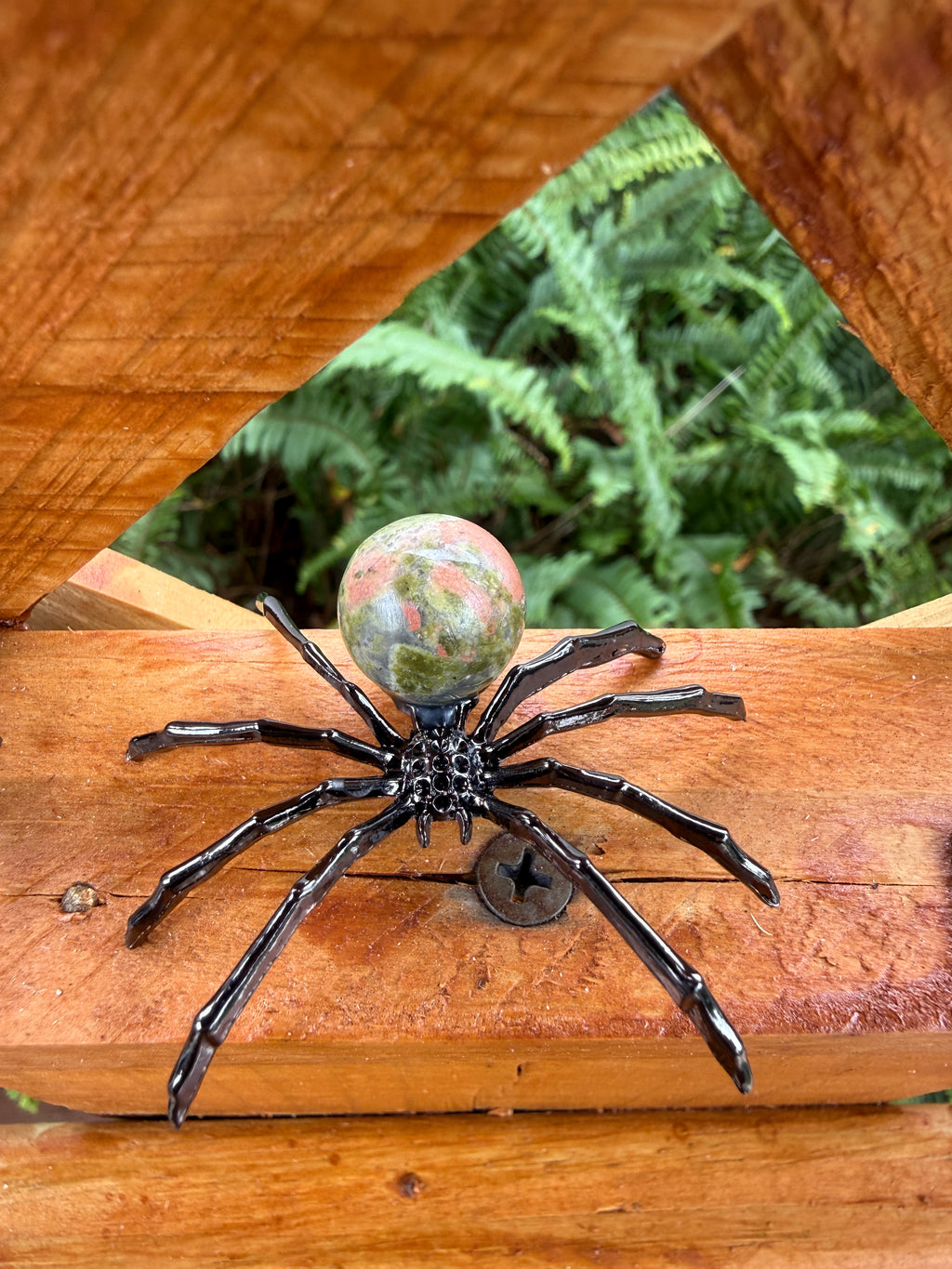 Spider