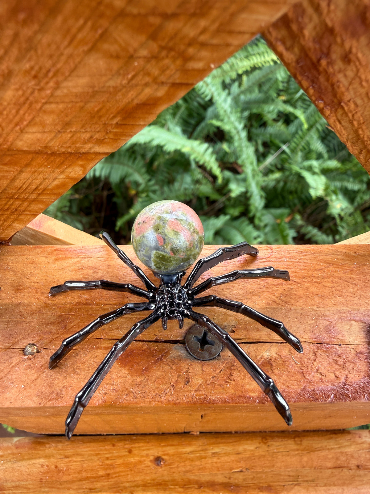 Spider