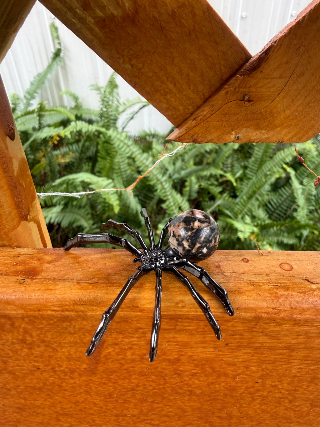 Spider