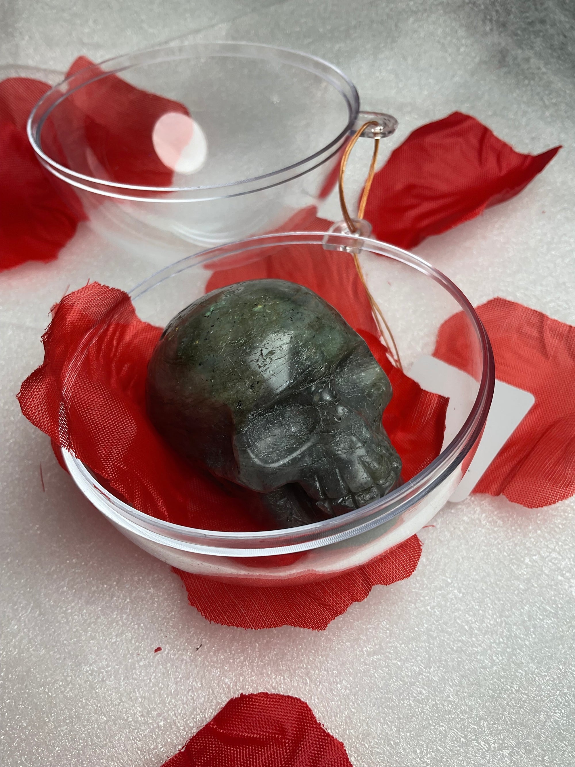 Skulls N Roses