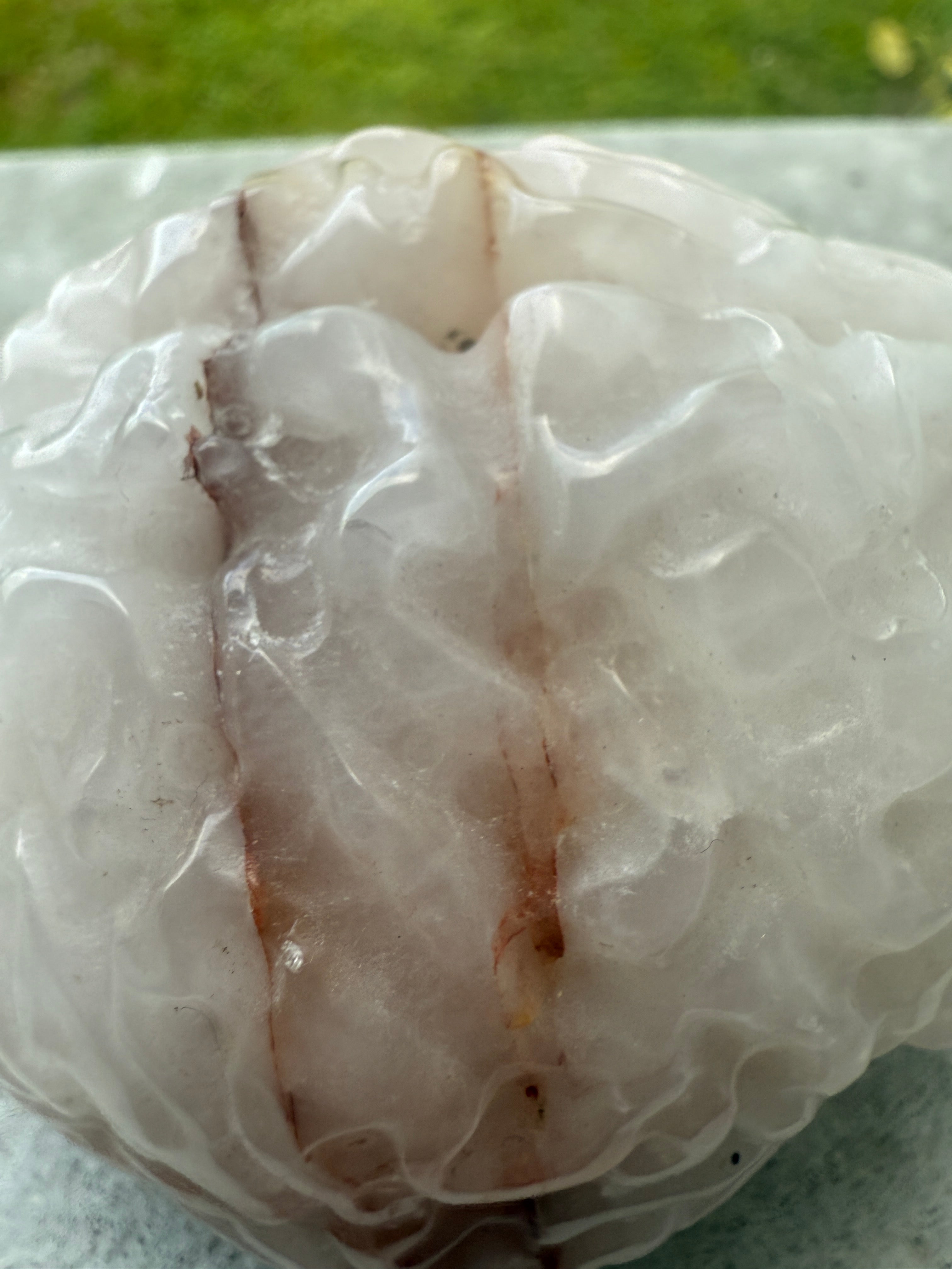 Fire Quartz Brain
