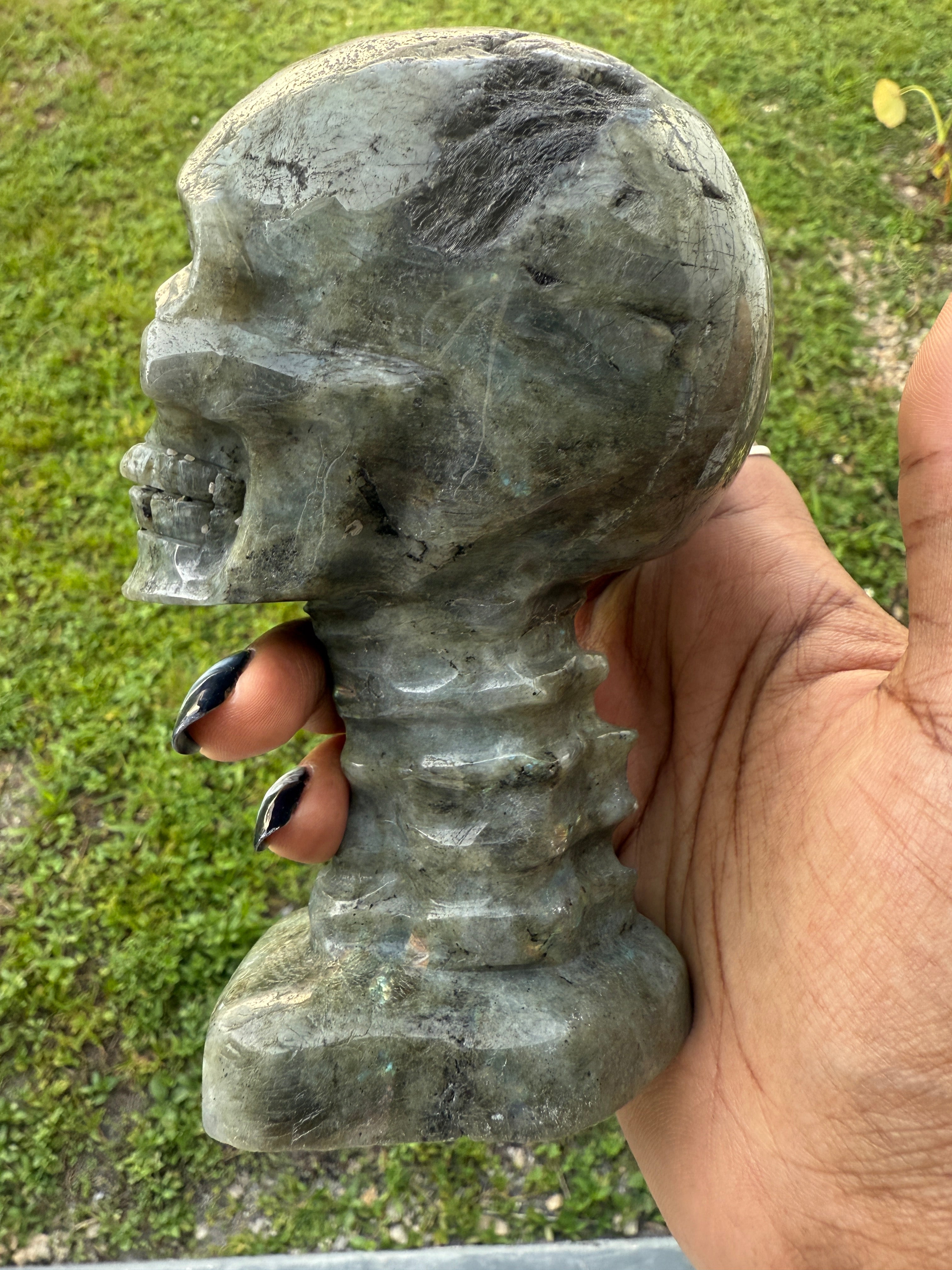 Labradorite Skull & Spine - Consciousness Expansion Sculpture