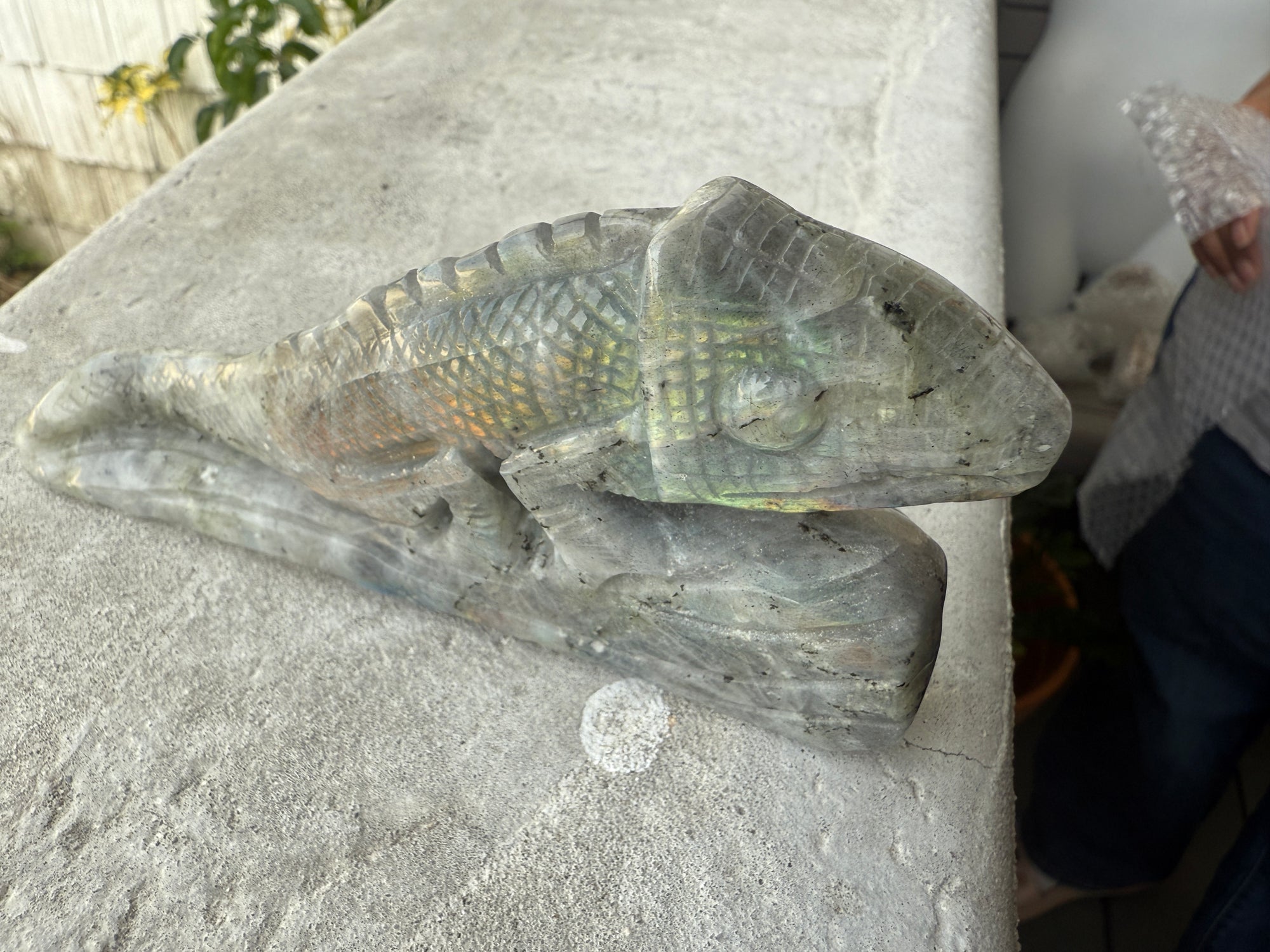 Chameleon