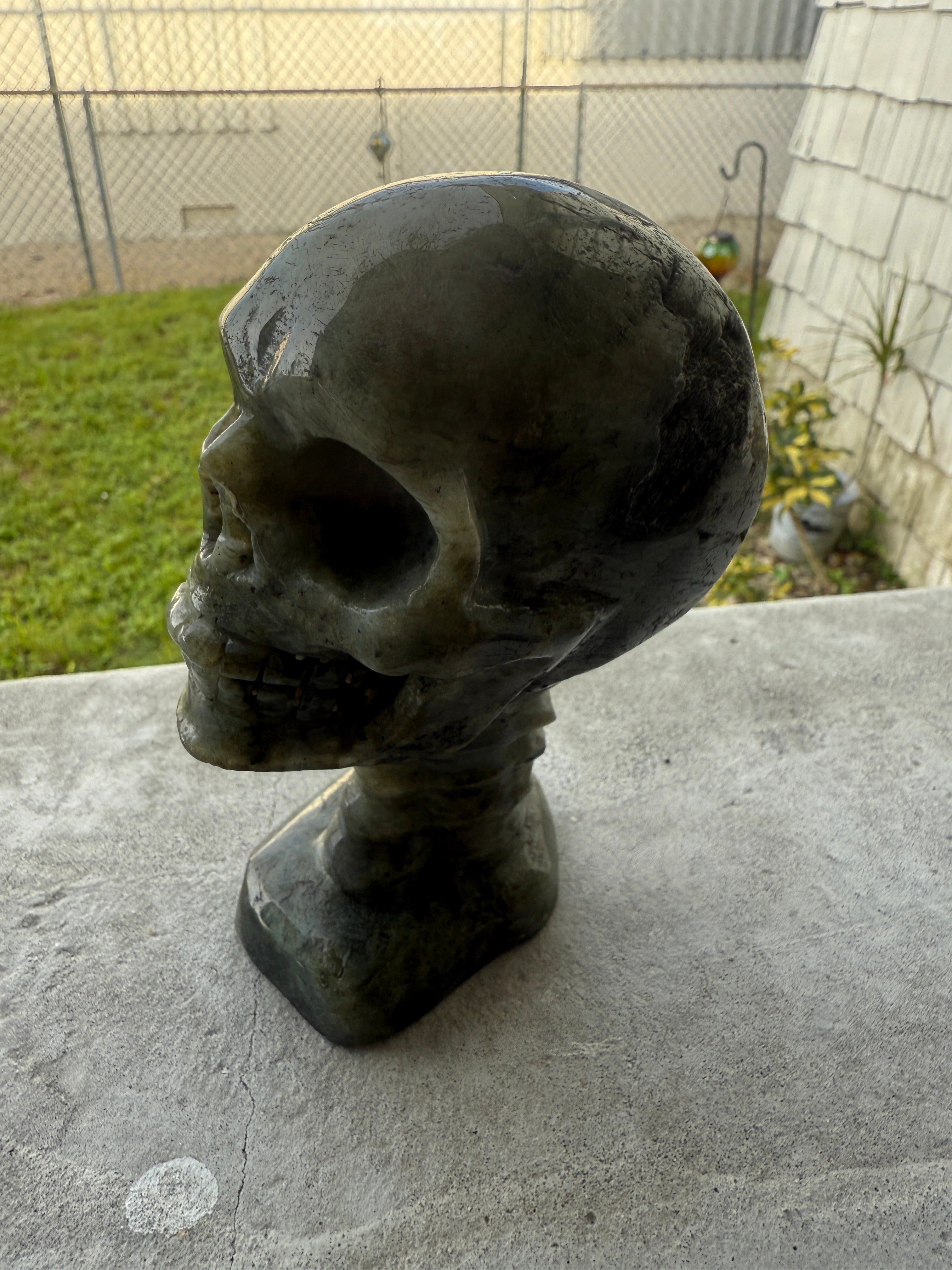 Labradorite Skull & Spine - Consciousness Expansion Sculpture