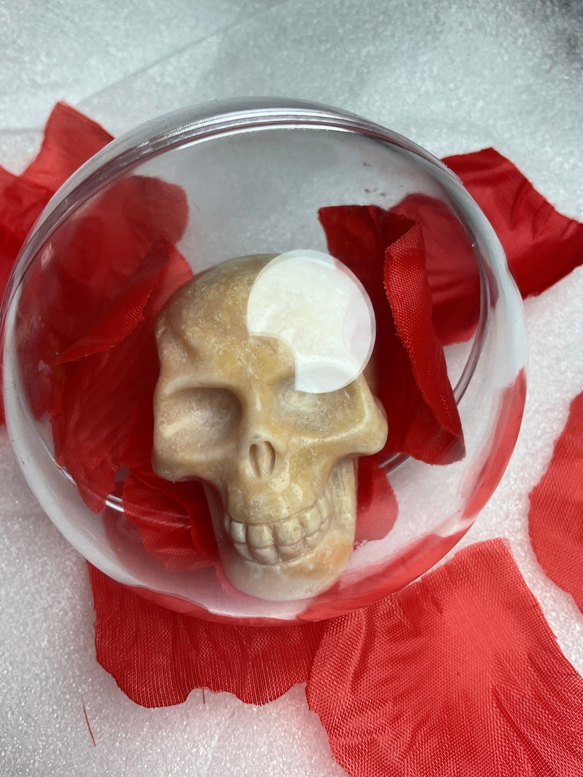 Skulls N Roses