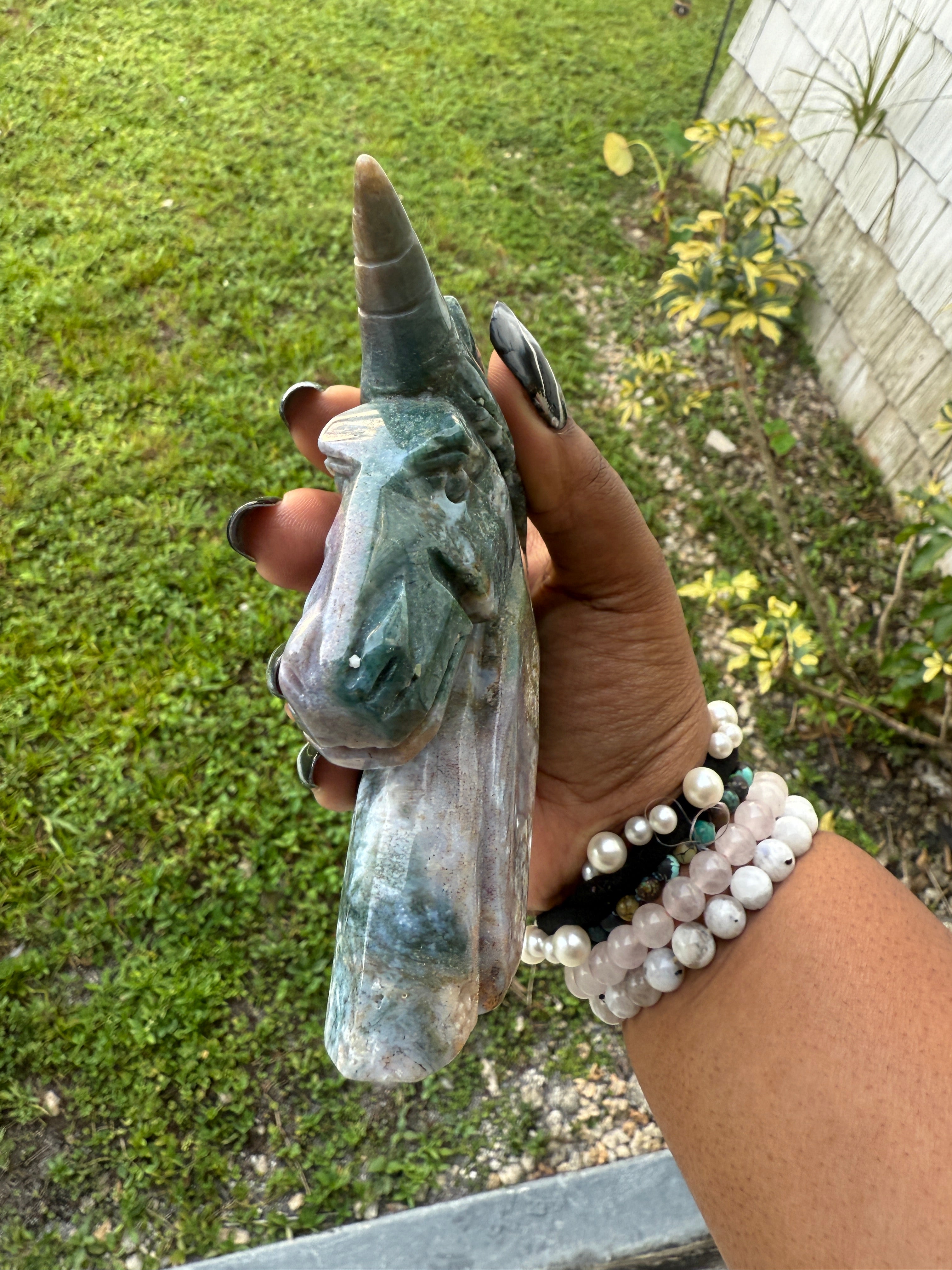 Unicorn (Ocean Jasper)