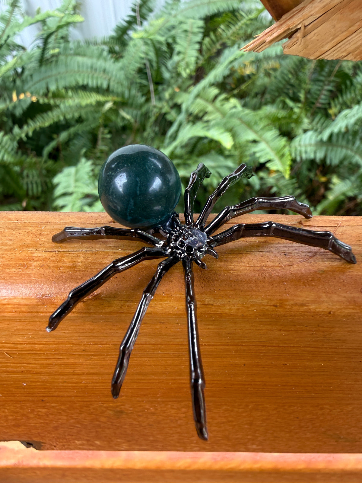 Spider