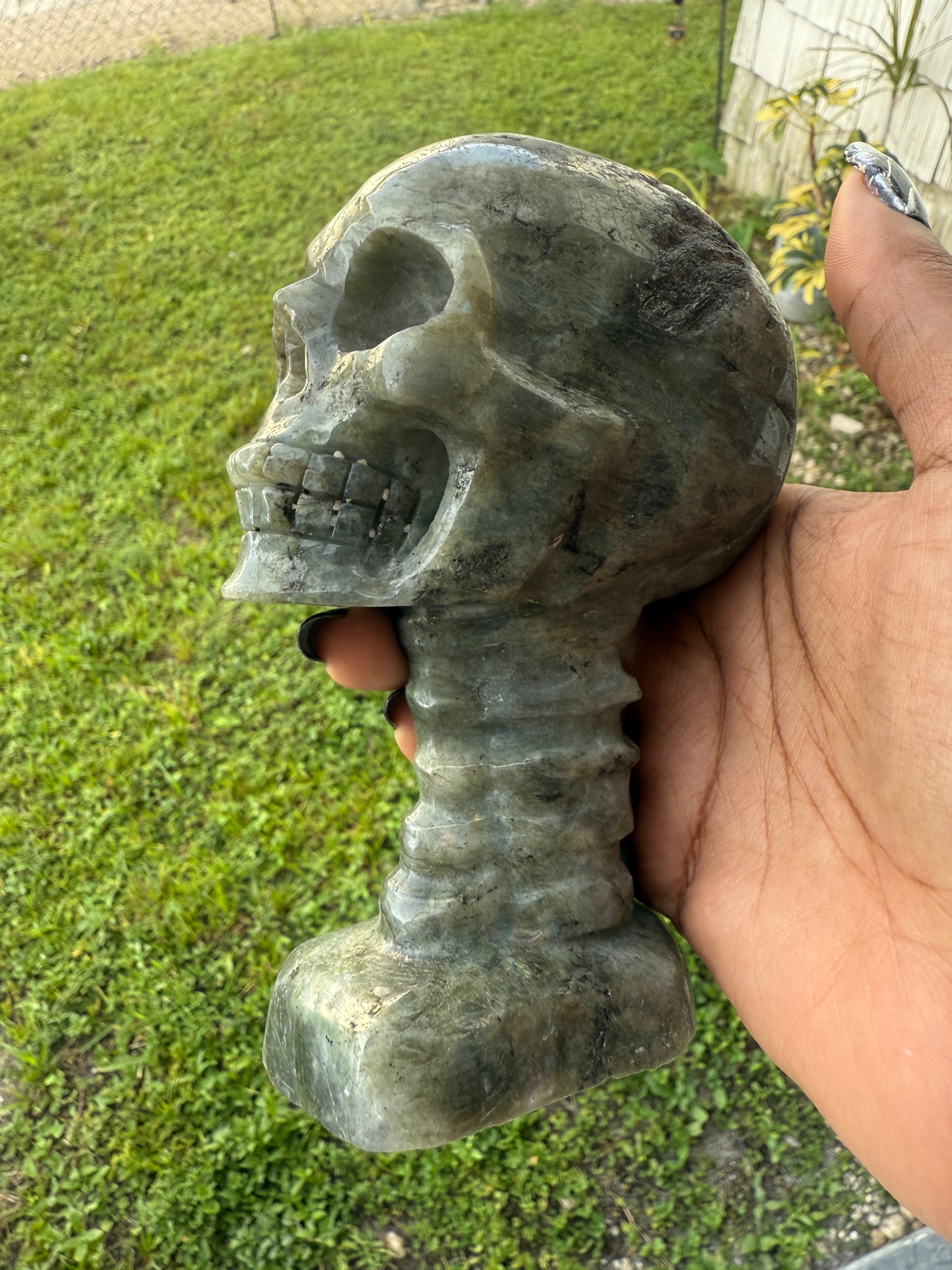 Labradorite Skull & Spine - Consciousness Expansion Sculpture