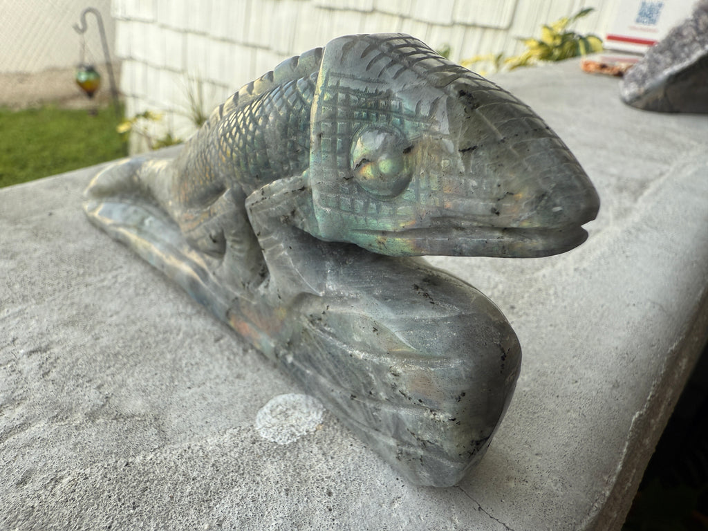 Chameleon