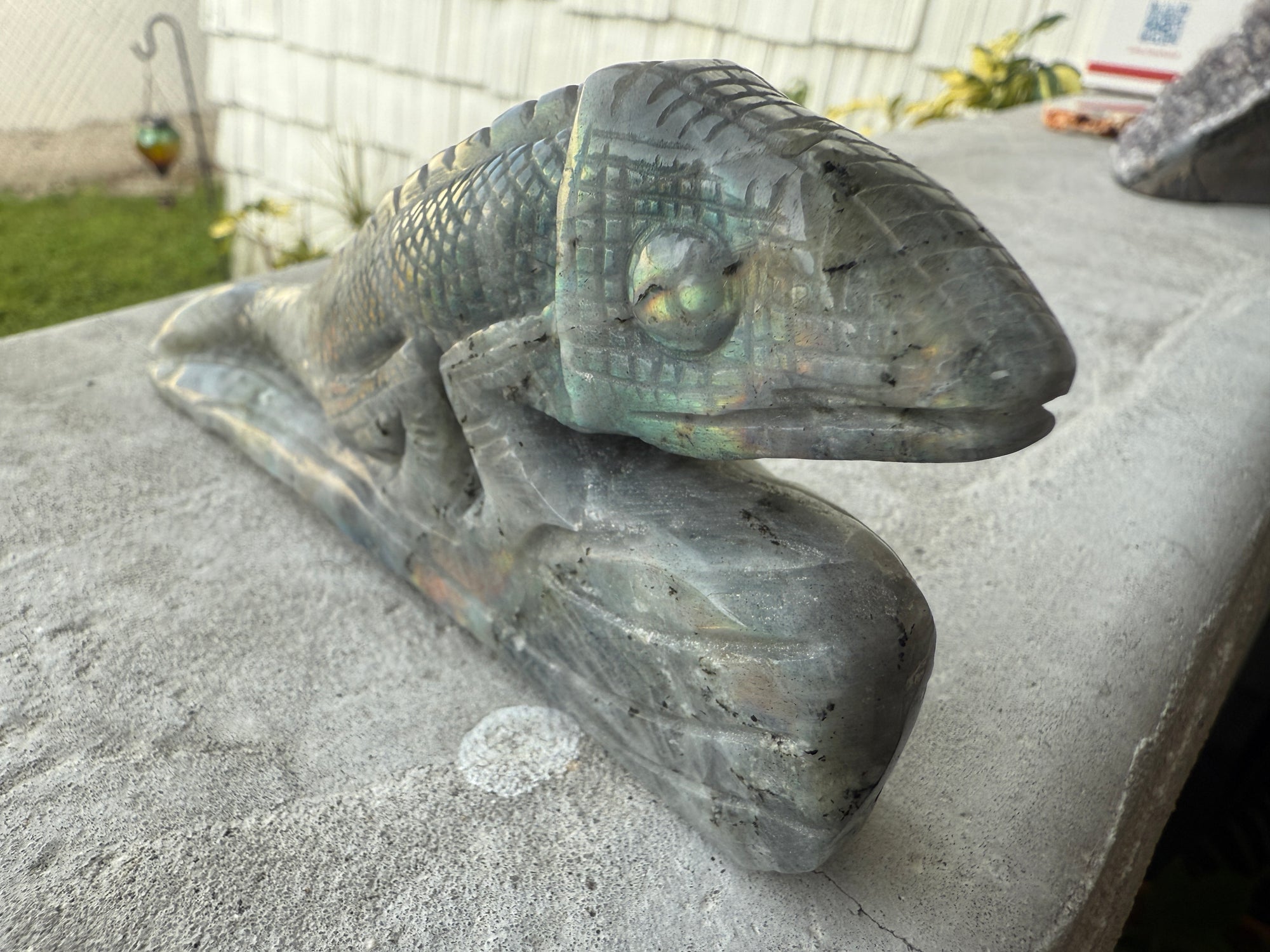 Chameleon