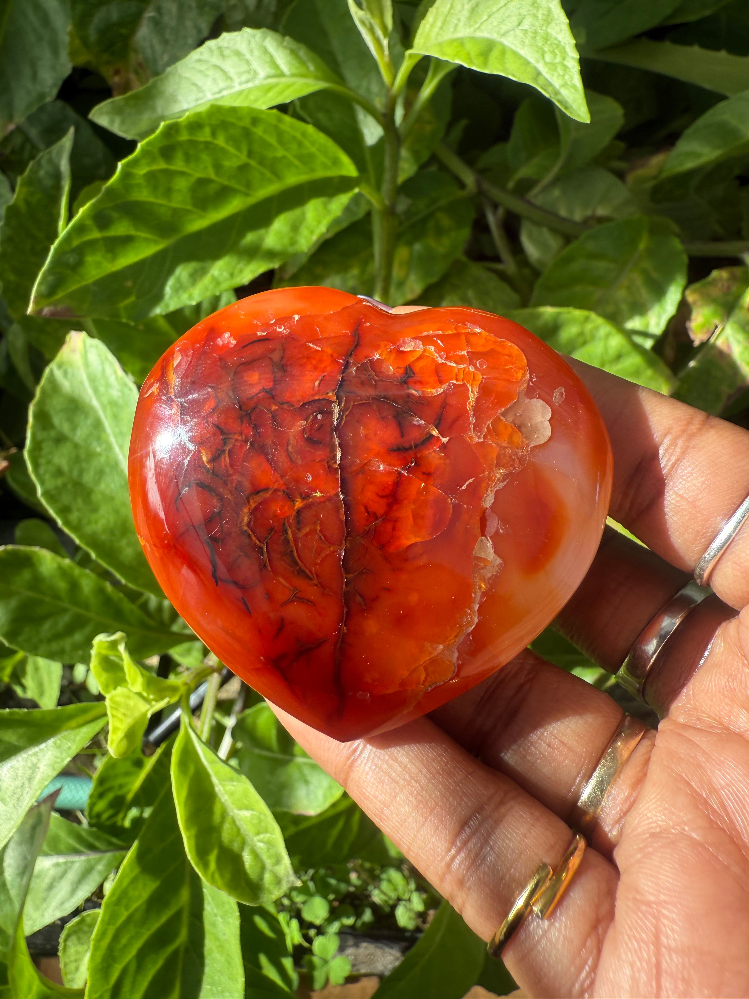 Carnelian Heart