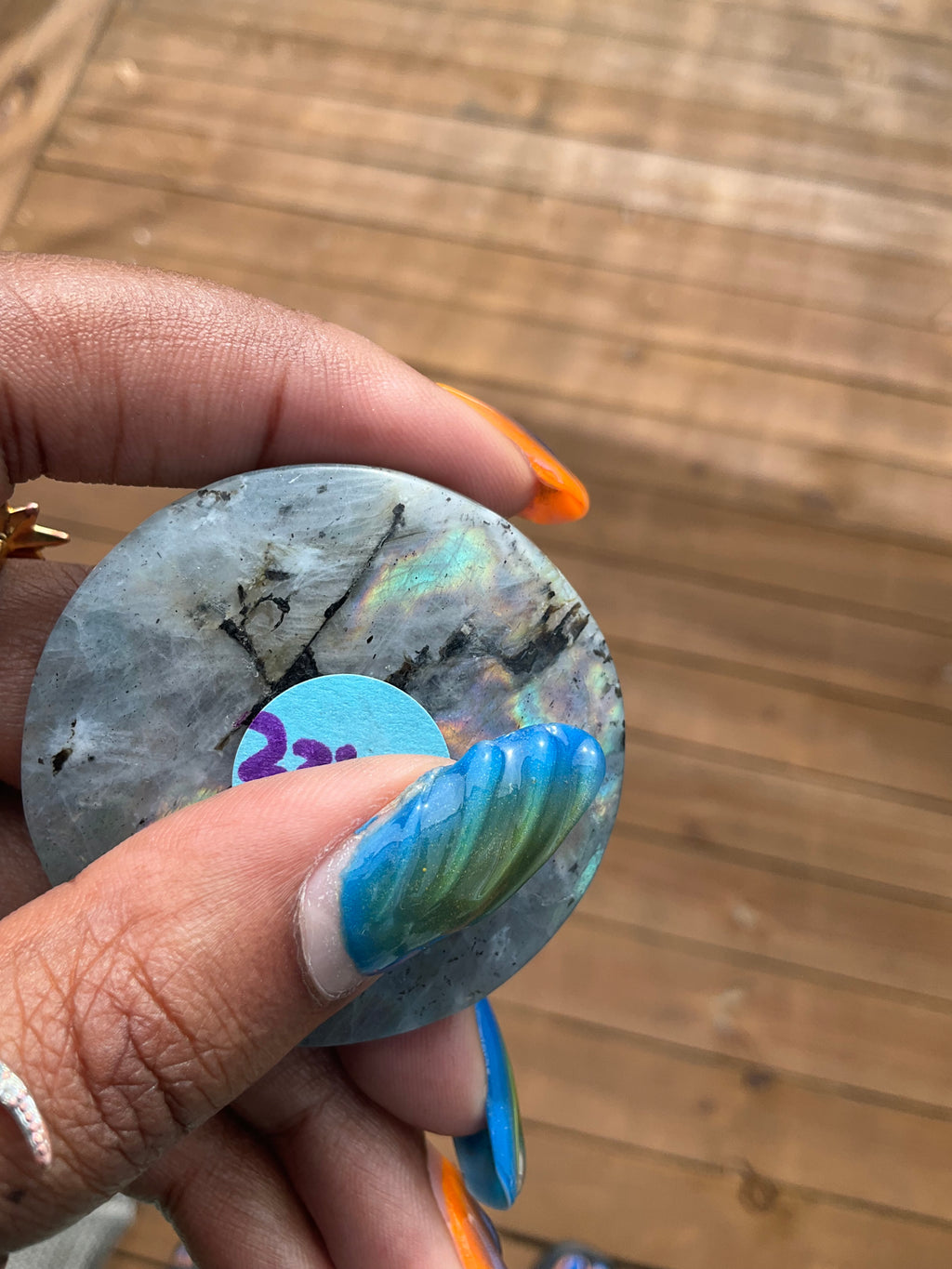 Labradorite Lion Medallion