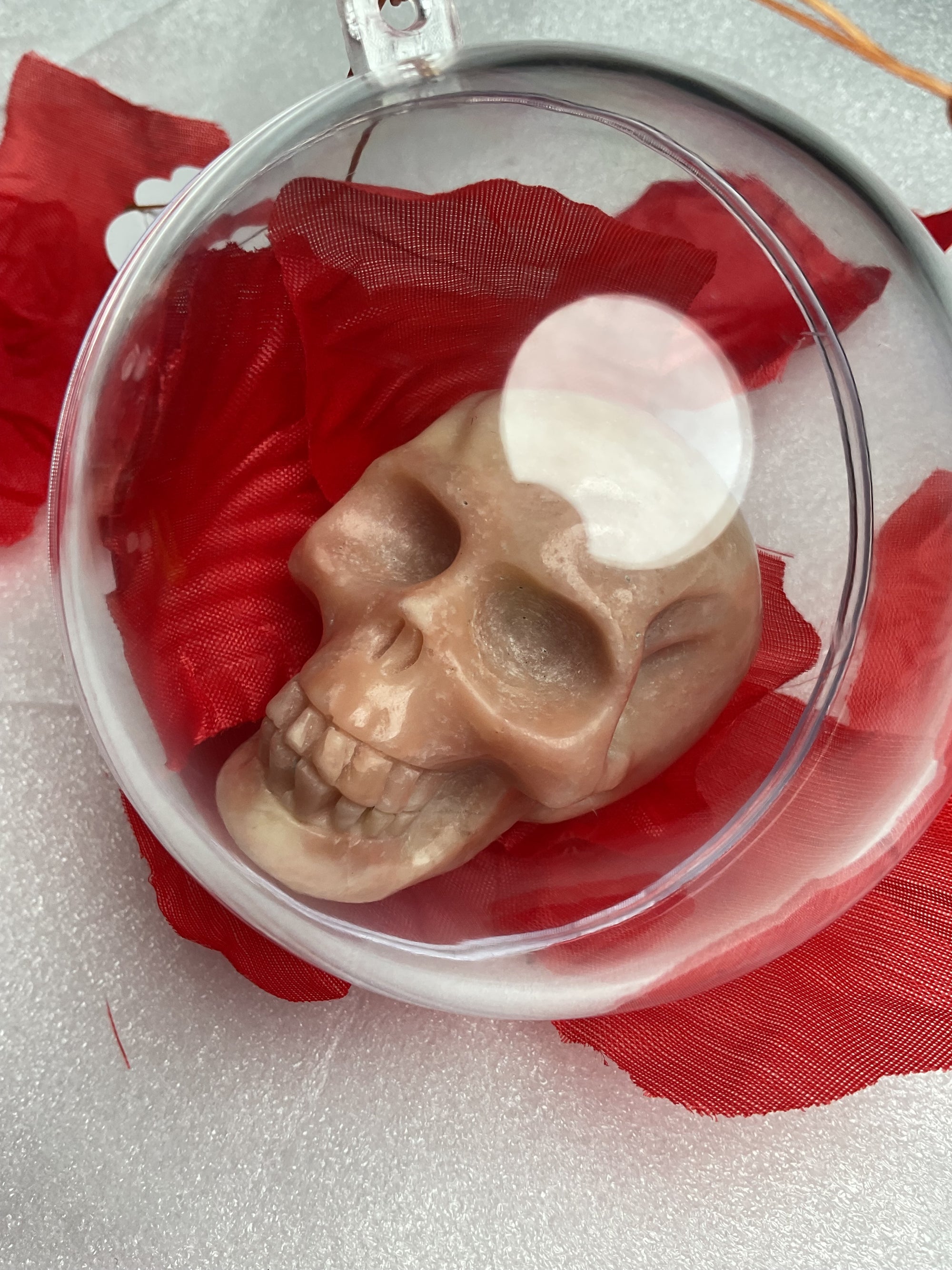 Skulls N Roses