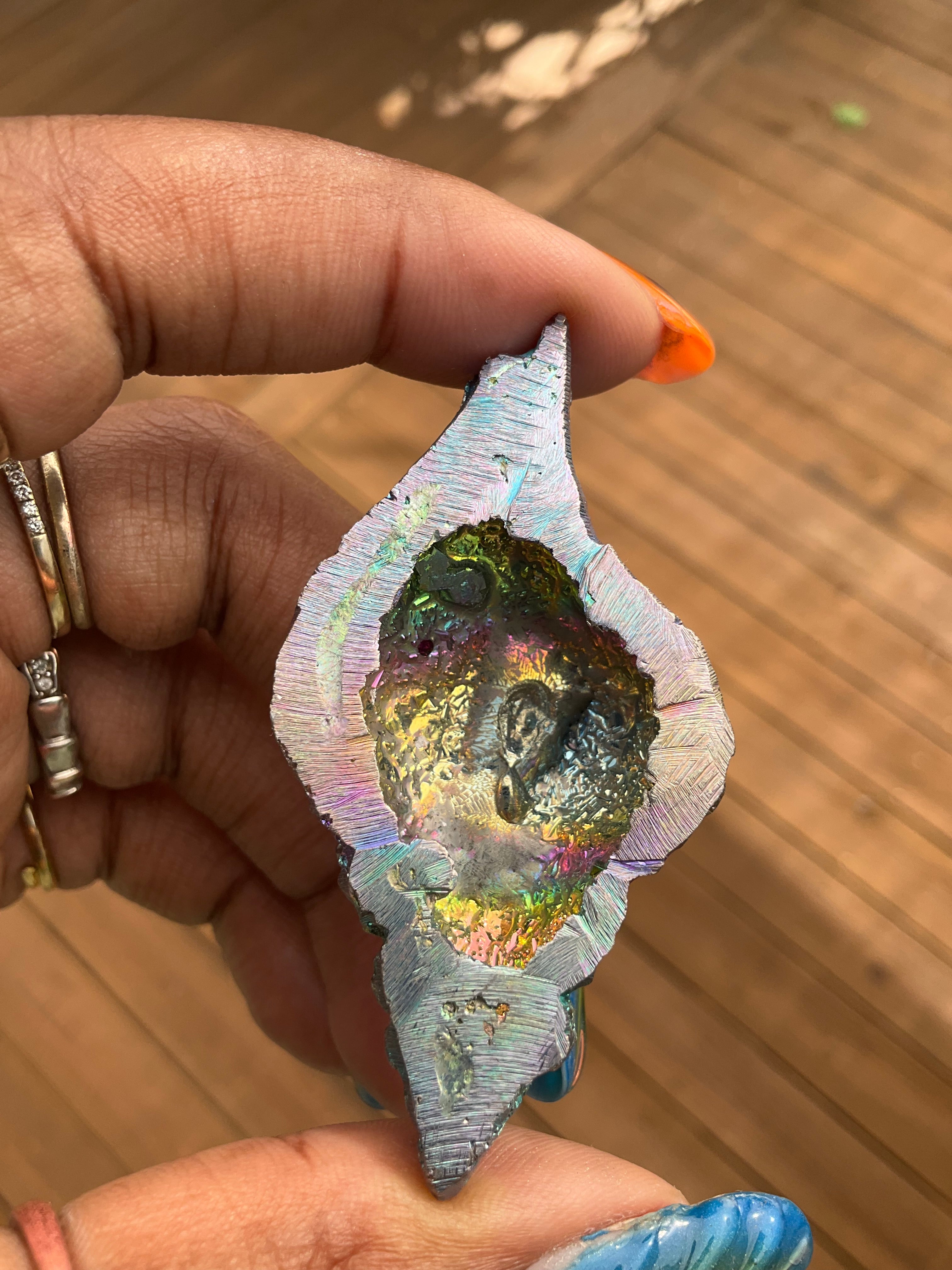 Bismuth shell or turtle