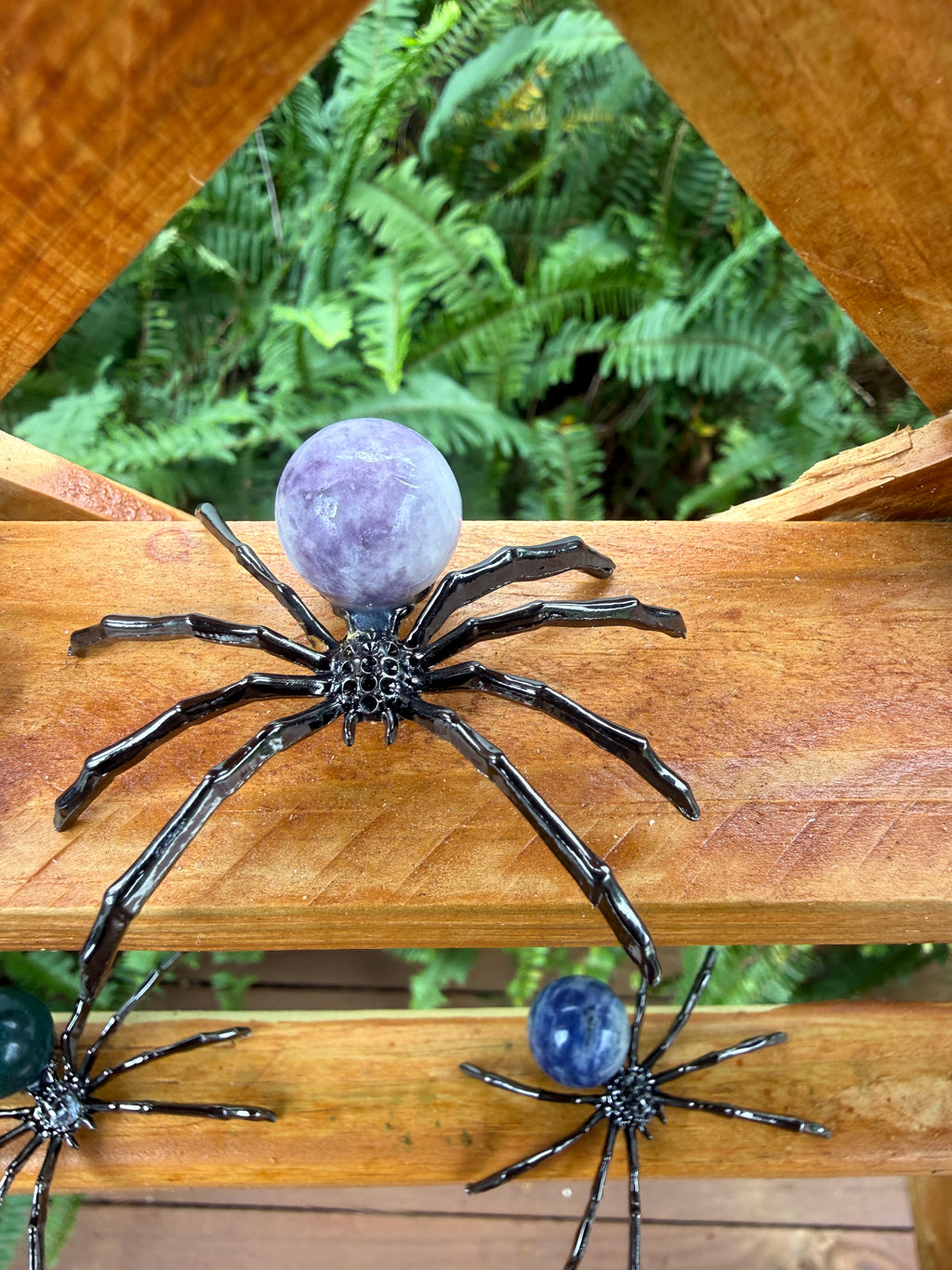 Spider