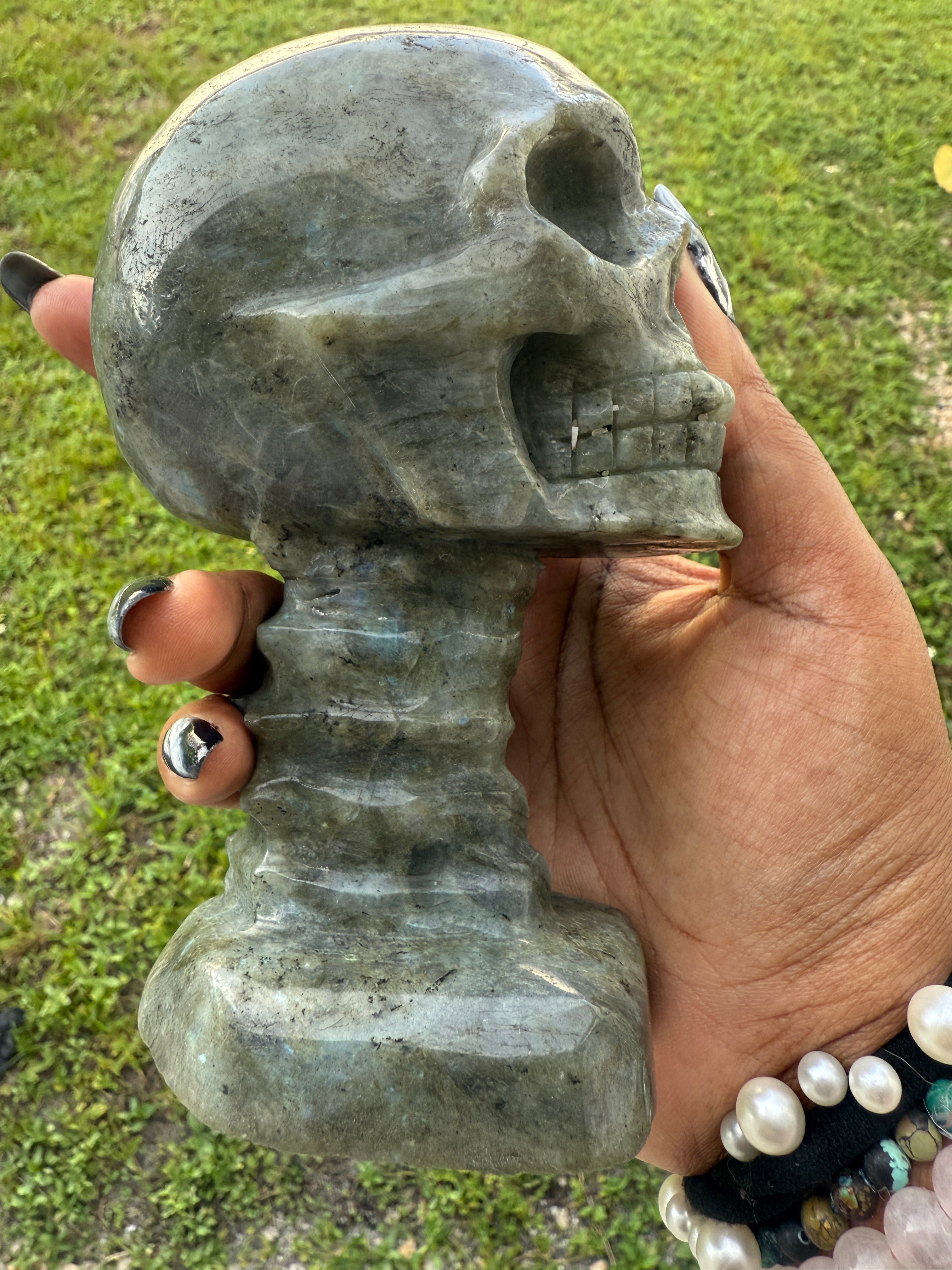 Labradorite Skull & Spine - Consciousness Expansion Sculpture
