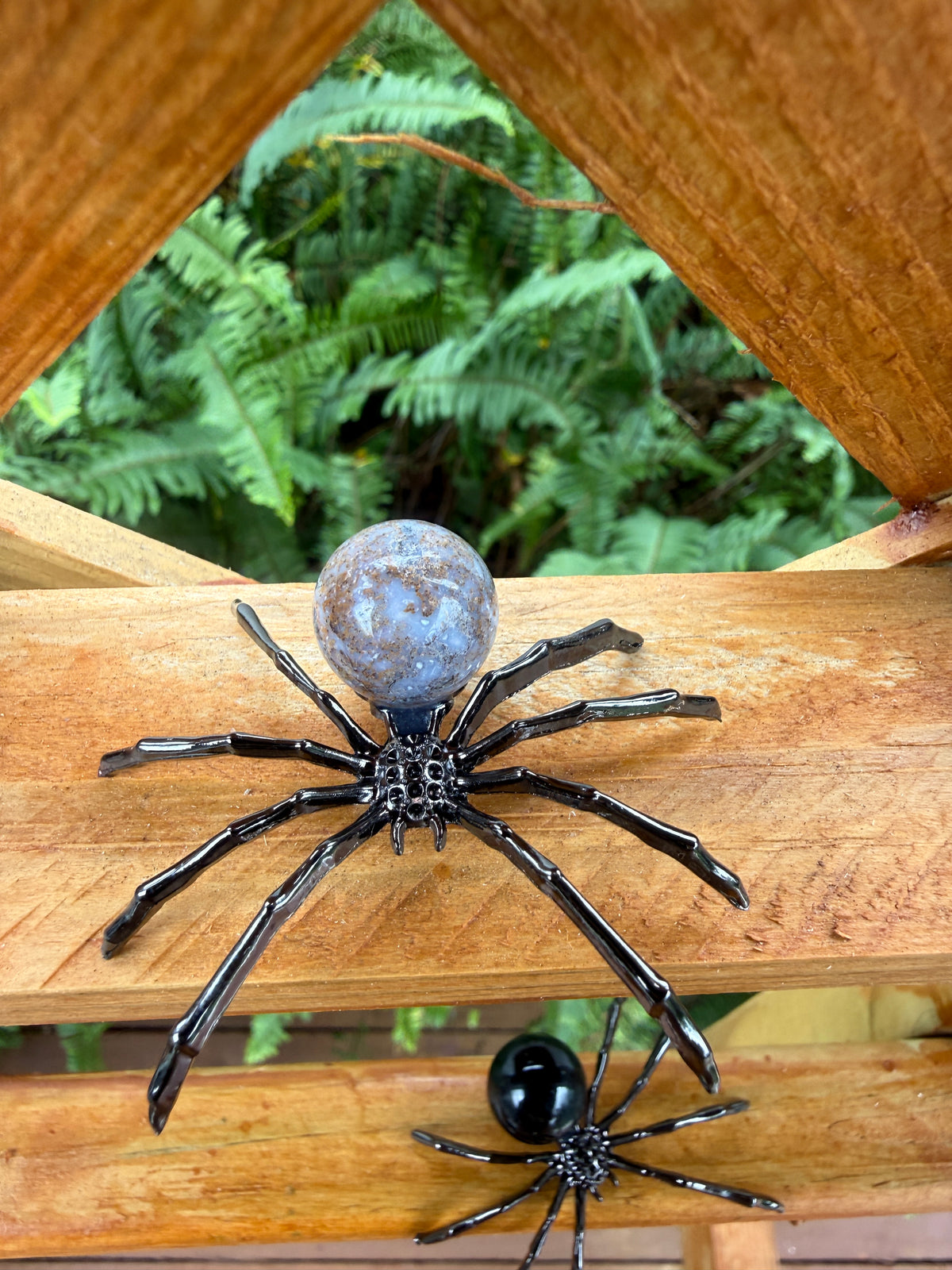 Spider