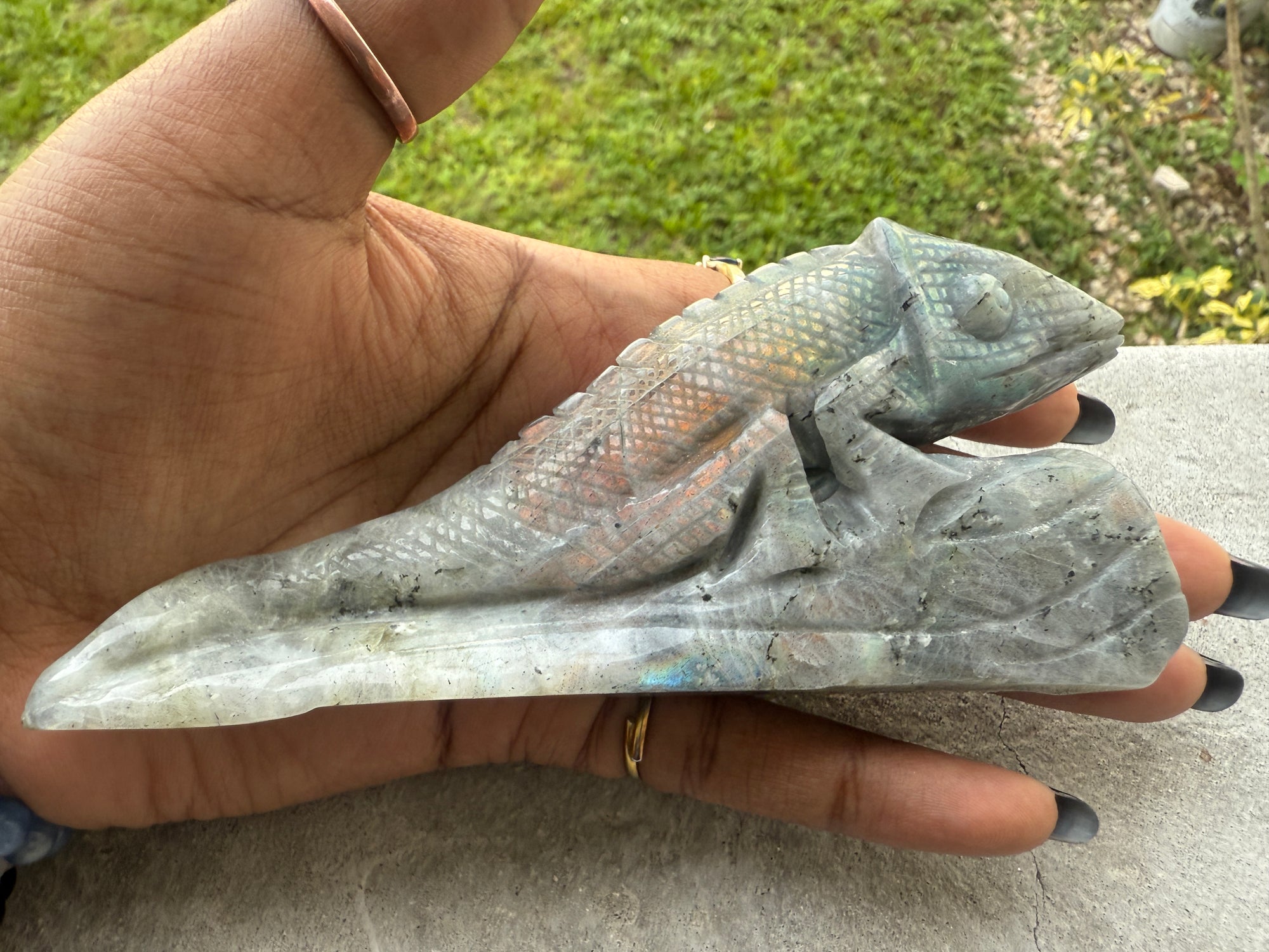 Chameleon
