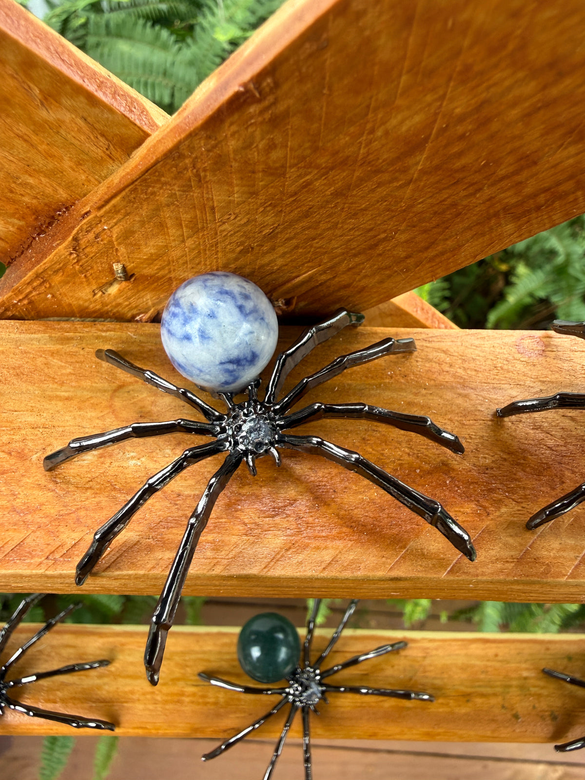 Spider