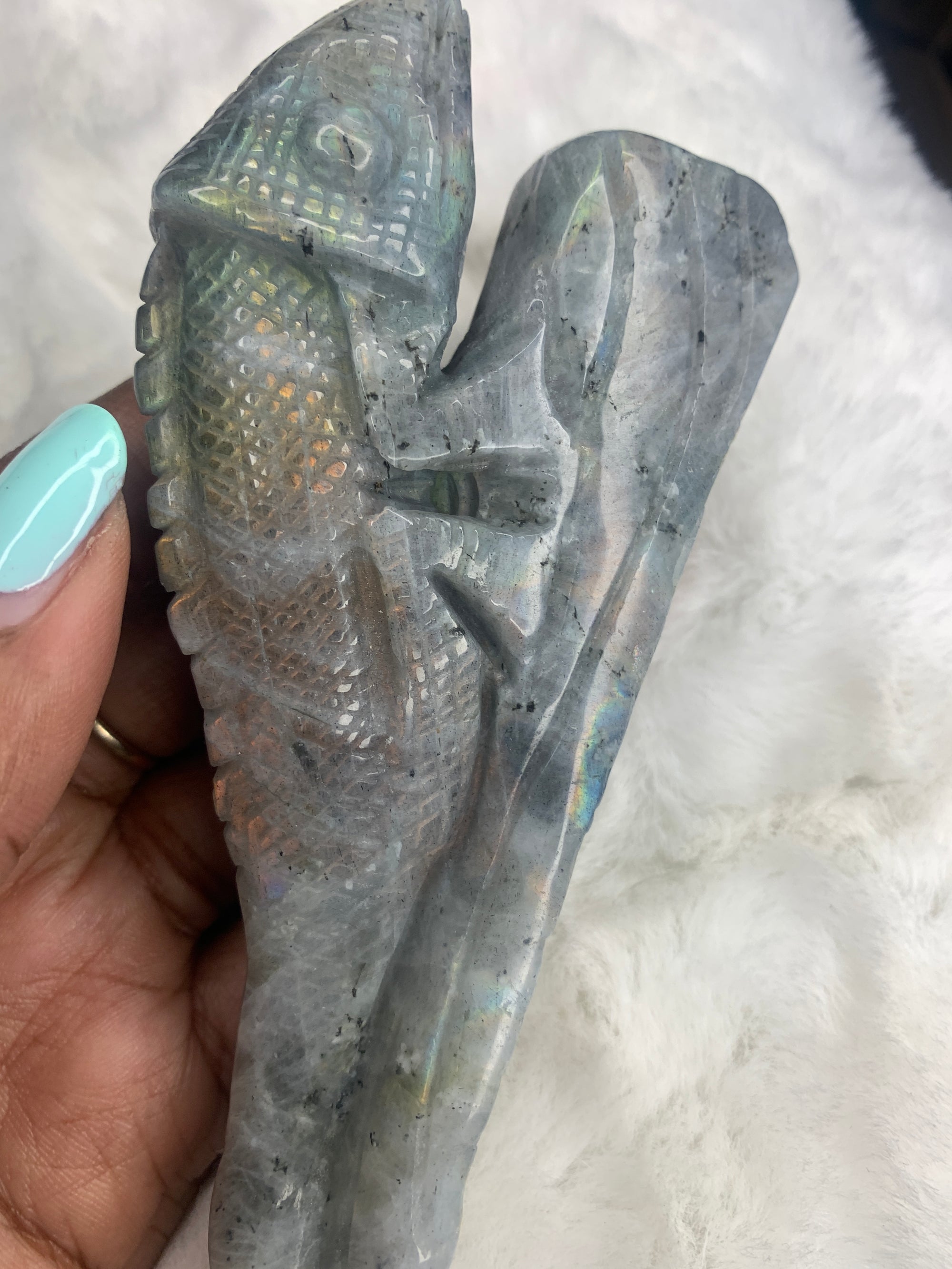 Chameleon