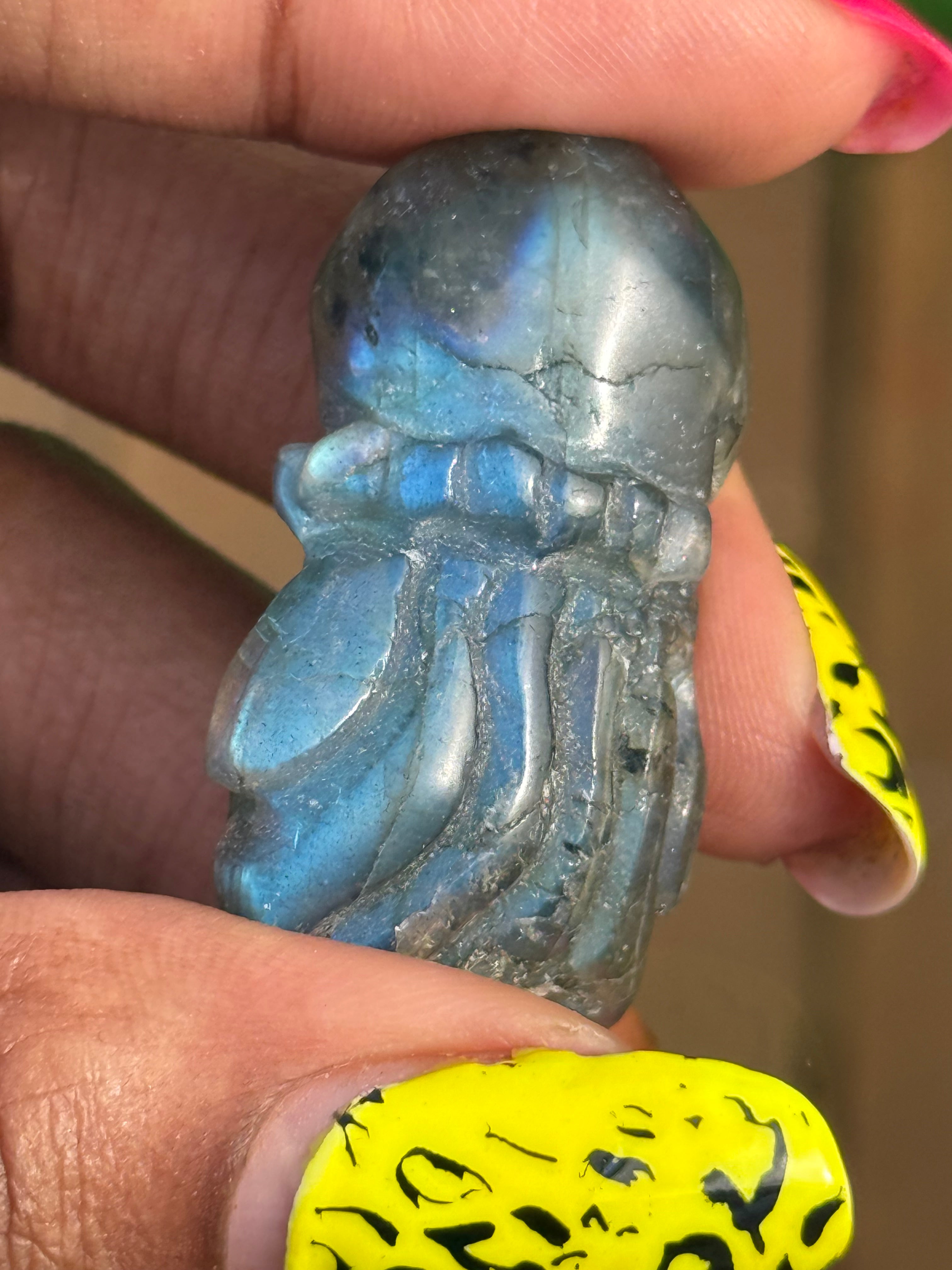 Labradorite Jellyfish